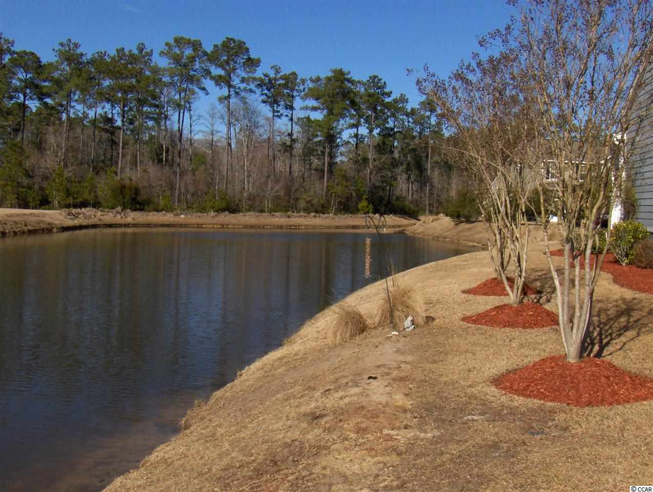 417 Halcyon Lane Murrells Inlet, SC 29576 - Photo 22 of 25
