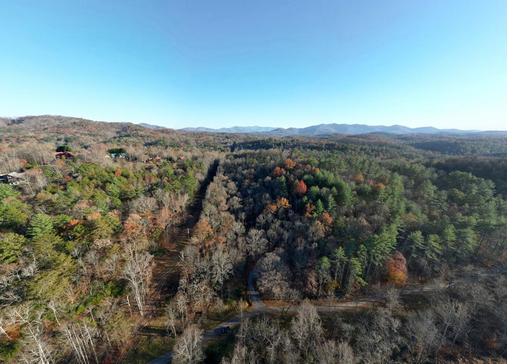 408 Smith Road Brasstown, NC 28902 - Photo 33 of 38