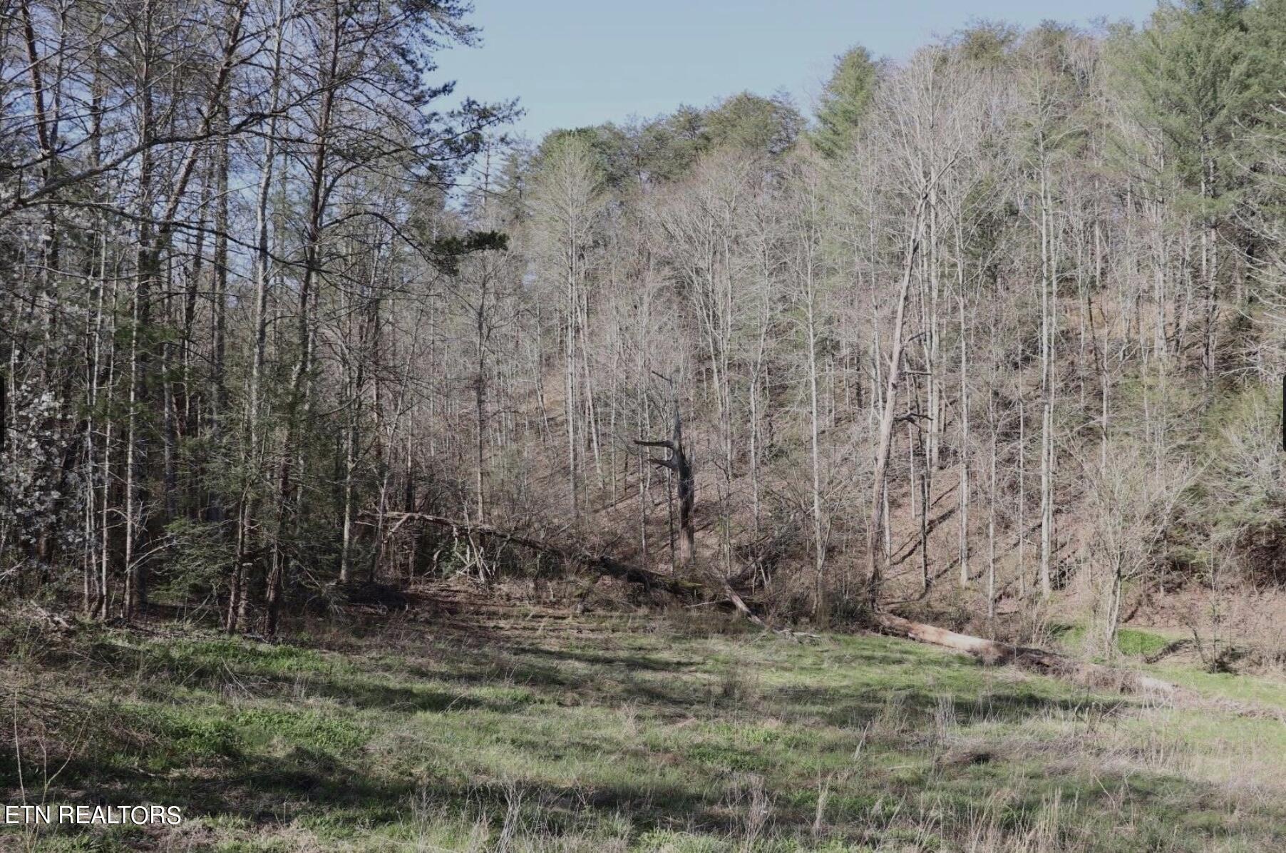 0 Antioch Church Road Vonore, TN 37885 - Photo 23 of 60 Image 2-9-24 at 3.30 PM