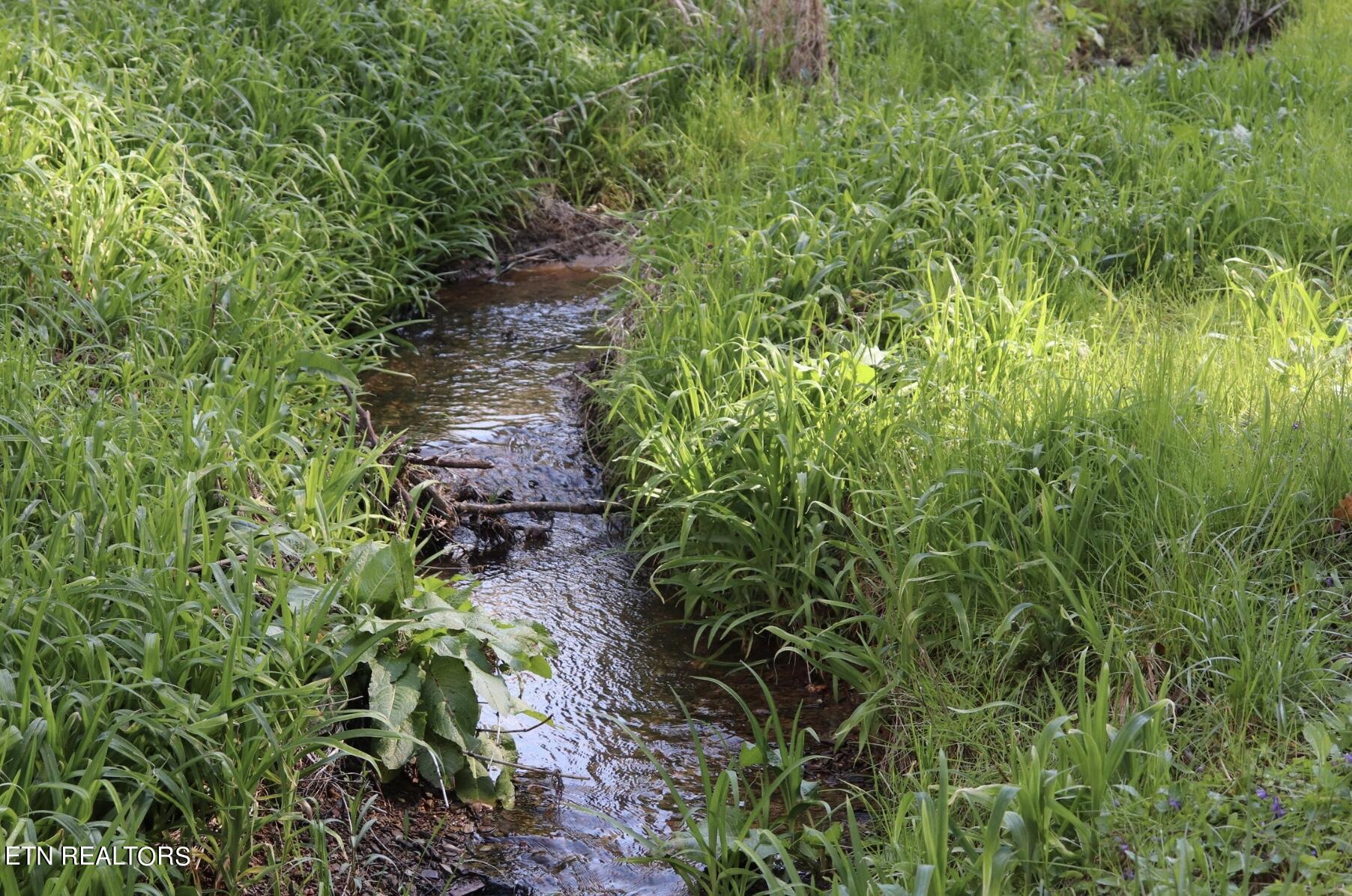 0 Antioch Church Road Vonore, TN 37885 - Photo 24 of 60 Image 2-9-24 at 3.30 PM