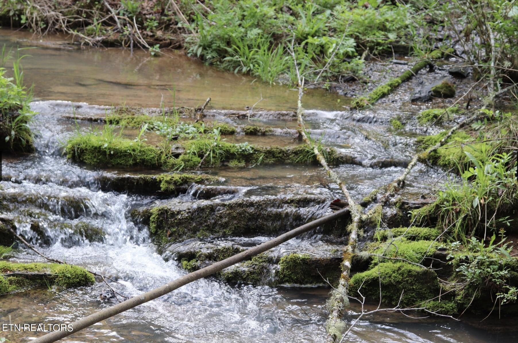 0 Antioch Church Road Vonore, TN 37885 - Photo 26 of 60 Image 2-9-24 at 3.29 PM