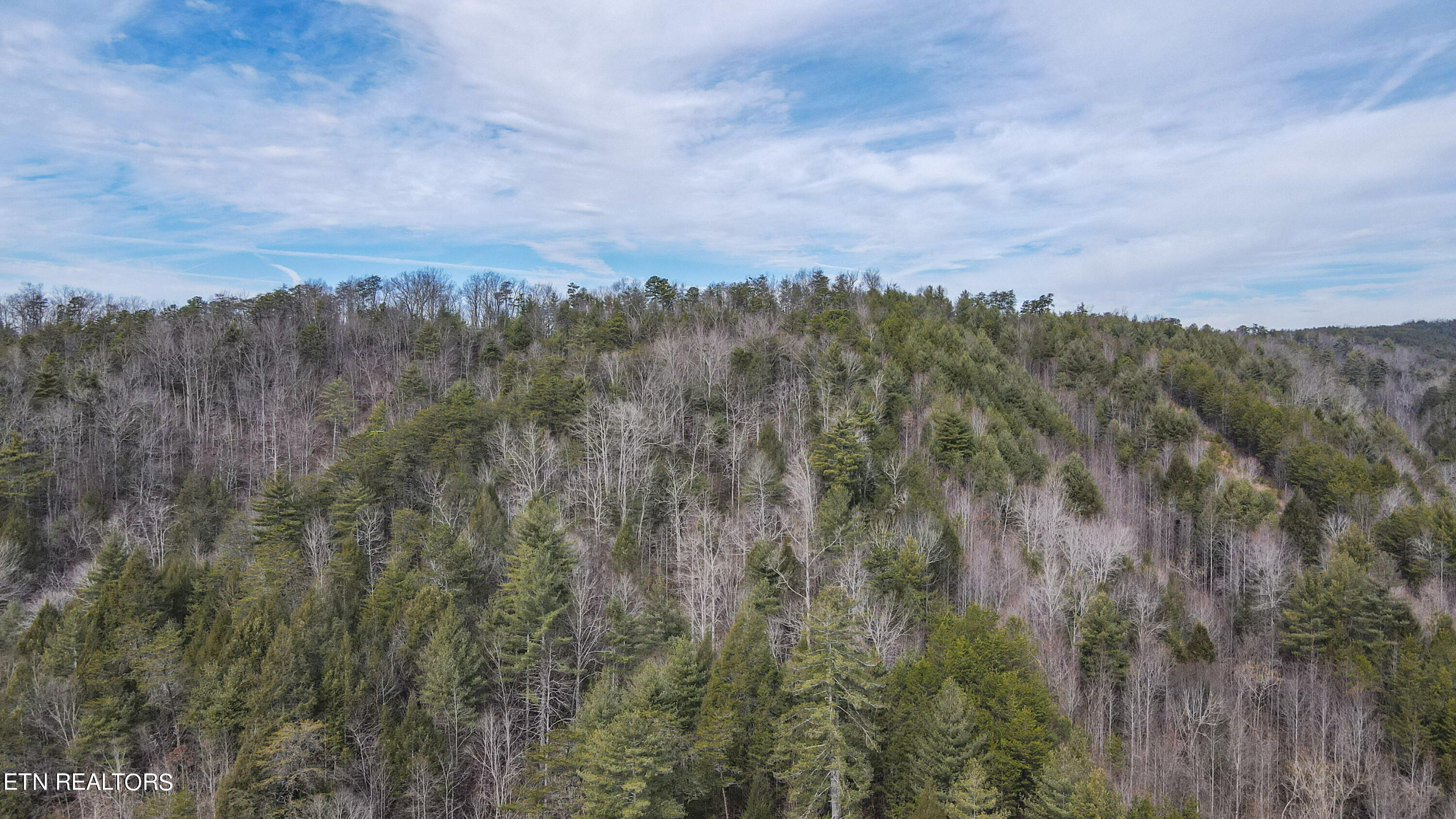 0 Antioch Church Road Vonore, TN 37885 - Photo 31 of 60 37-DJI_0942
