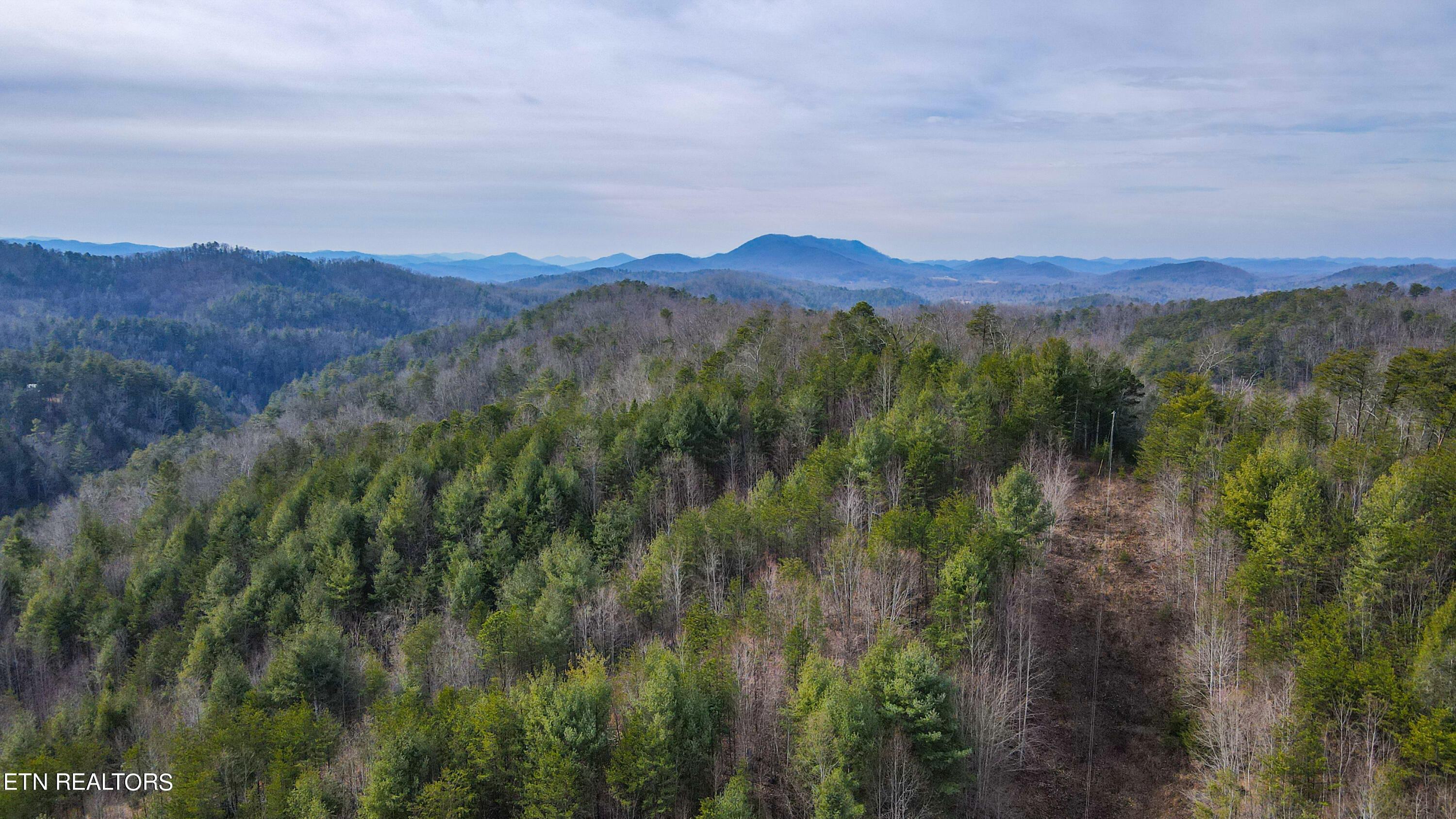 0 Antioch Church Road Vonore, TN 37885 - Photo 45 of 60 50-DJI_0954