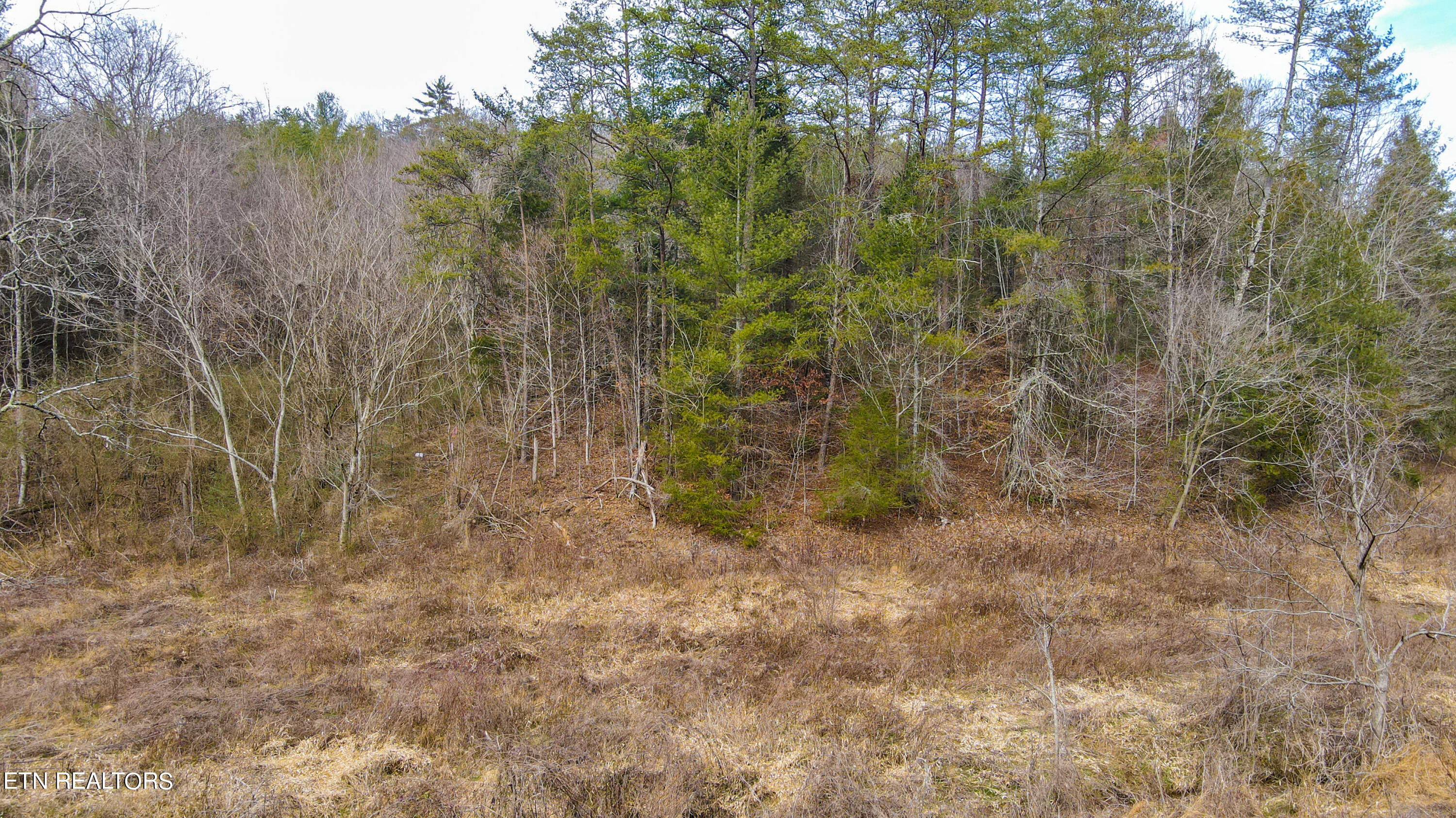 29-DJI_0915