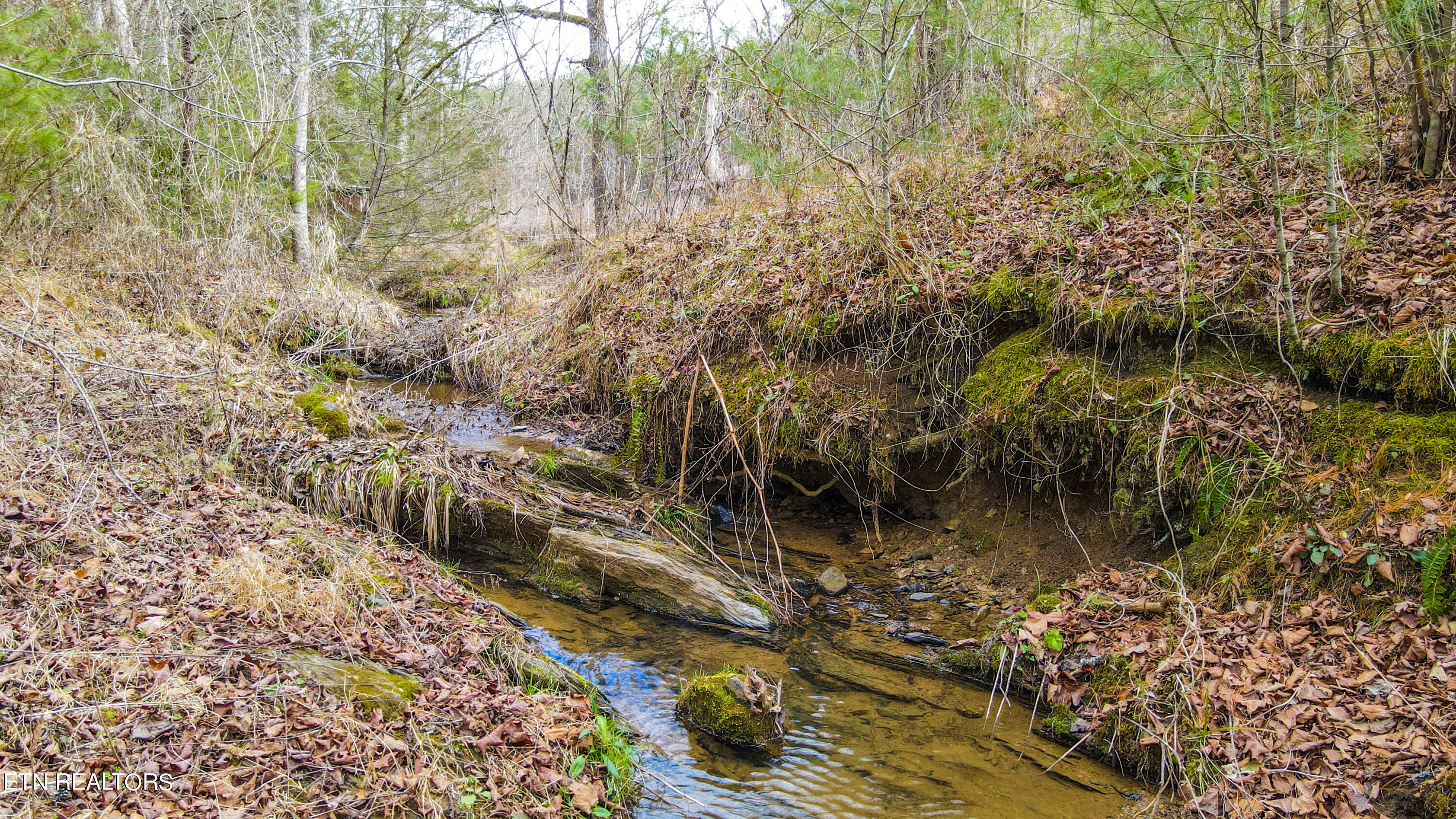 0 Antioch Church Road Vonore, TN 37885 - Photo 9 of 60 61-DJI_0979