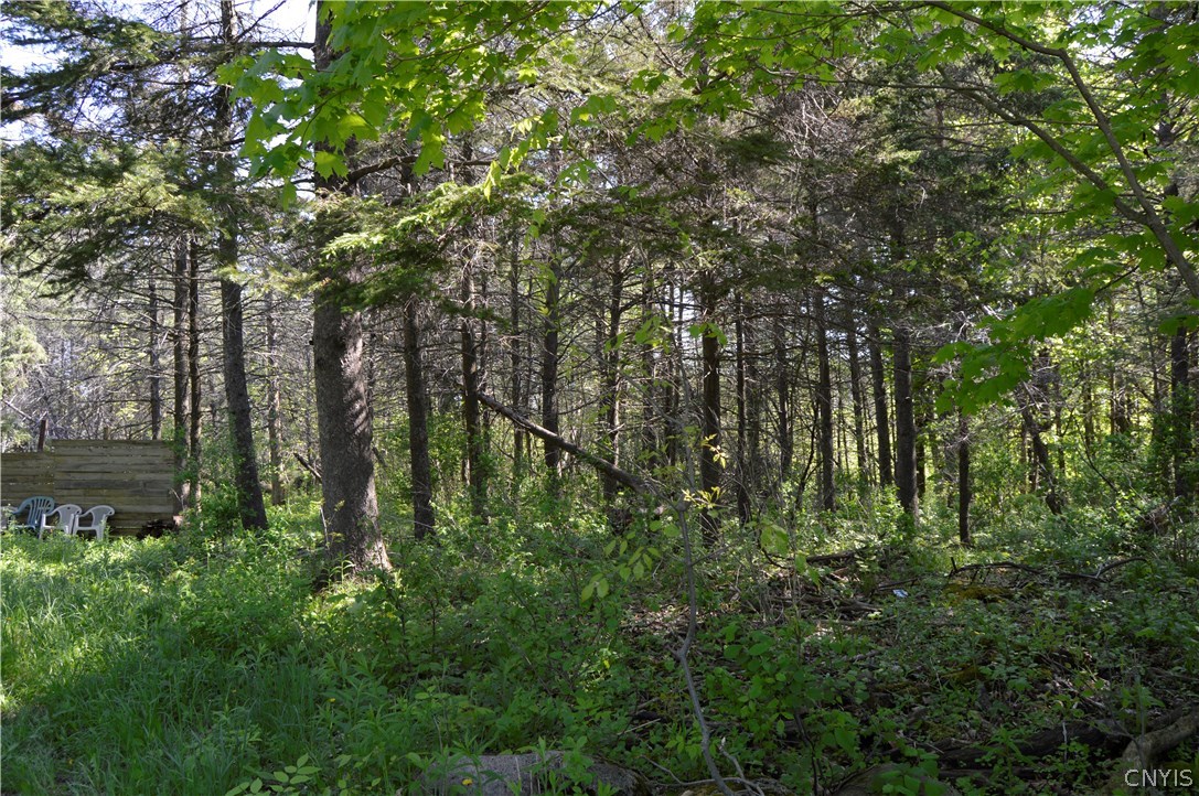 22651 Dobbins Road Rodman, NY 13682 - Photo 1 of 1 Gallery Image 1