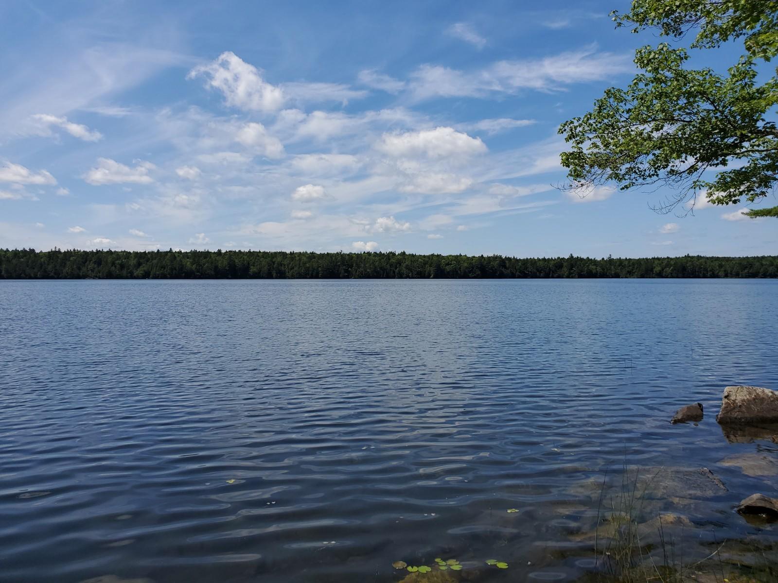 Lot 10 Birch Point Road Cooper, ME 04657 - Photo 1 of 7 20200713_114559