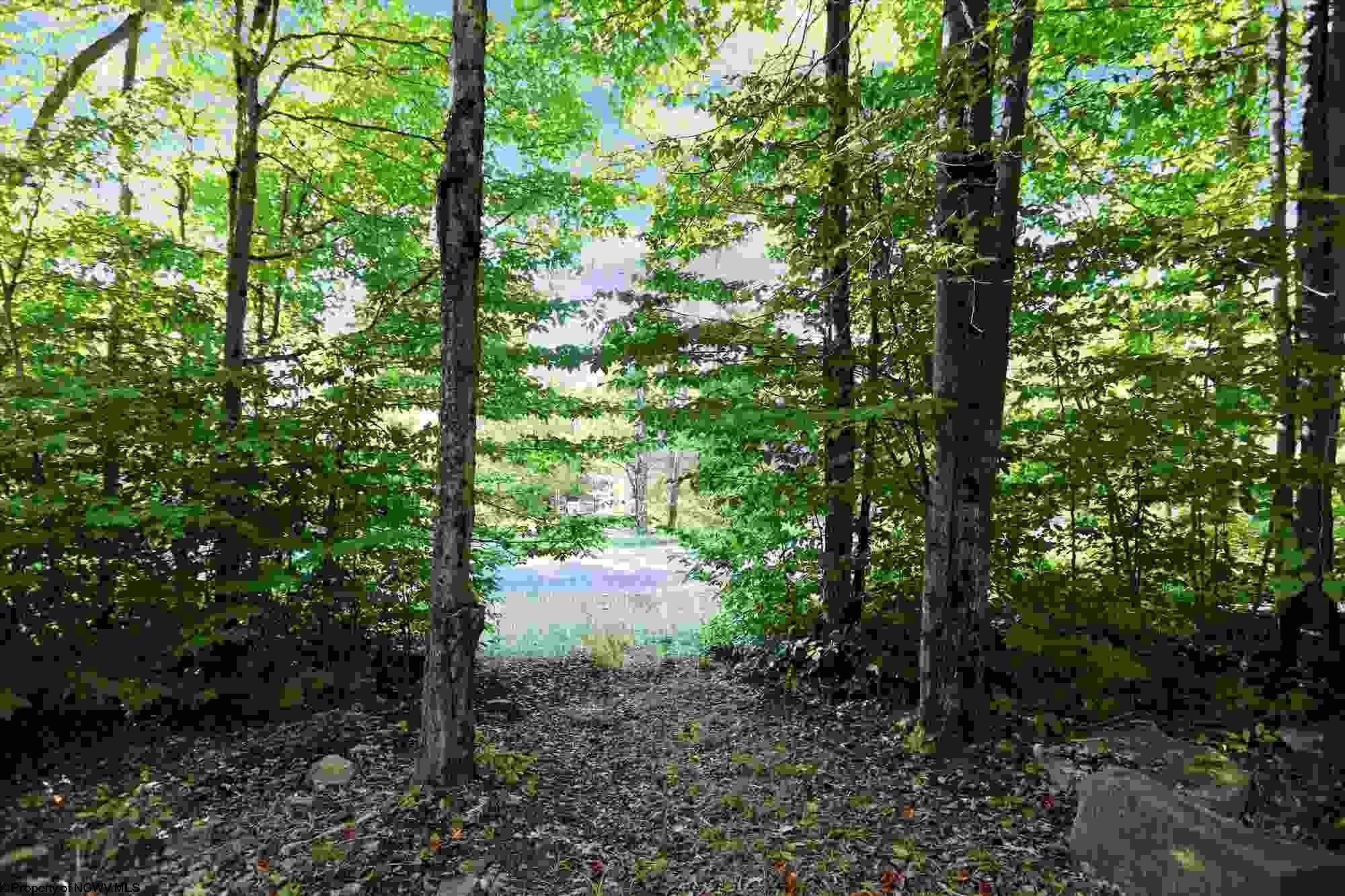 390 Cabin Mountain Road Davis, WV 26260 - Photo 26 of 30 Gallery Image 26