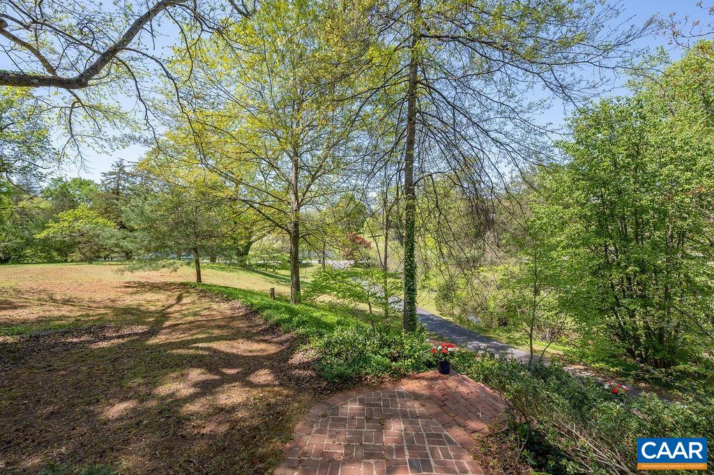 19 Old Farm Road Charlottesville, VA 22903 - Photo 26 of 29 a view of a yard with plants and trees
