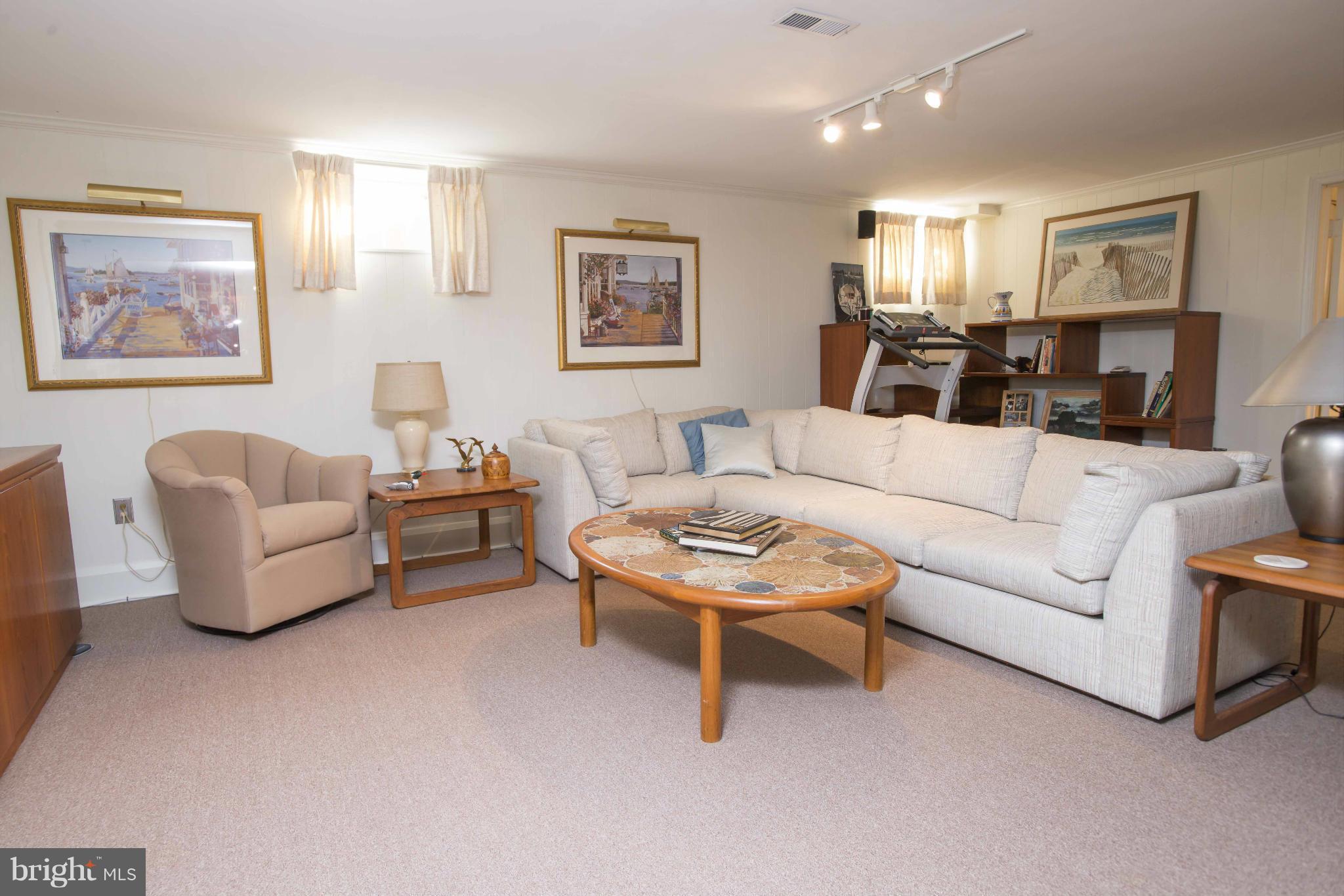 717 Milldam Road Baltimore, MD 21286 - Photo 22 of 30 Lower Level Family Room