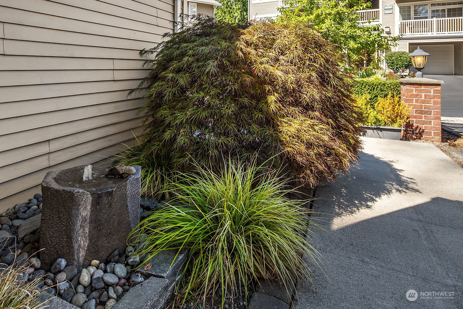 18651 Northeast 55th Way, Unit PP Redmond, WA 98052 - Photo 2 of 35 a view of a palm plant that is in front of a building