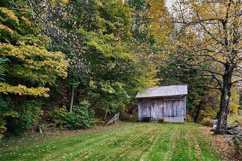 171 Tatro Road Ashfield, MA 01330 - Photo 36 of 42 a view of a backyard with wooden fence and a tree