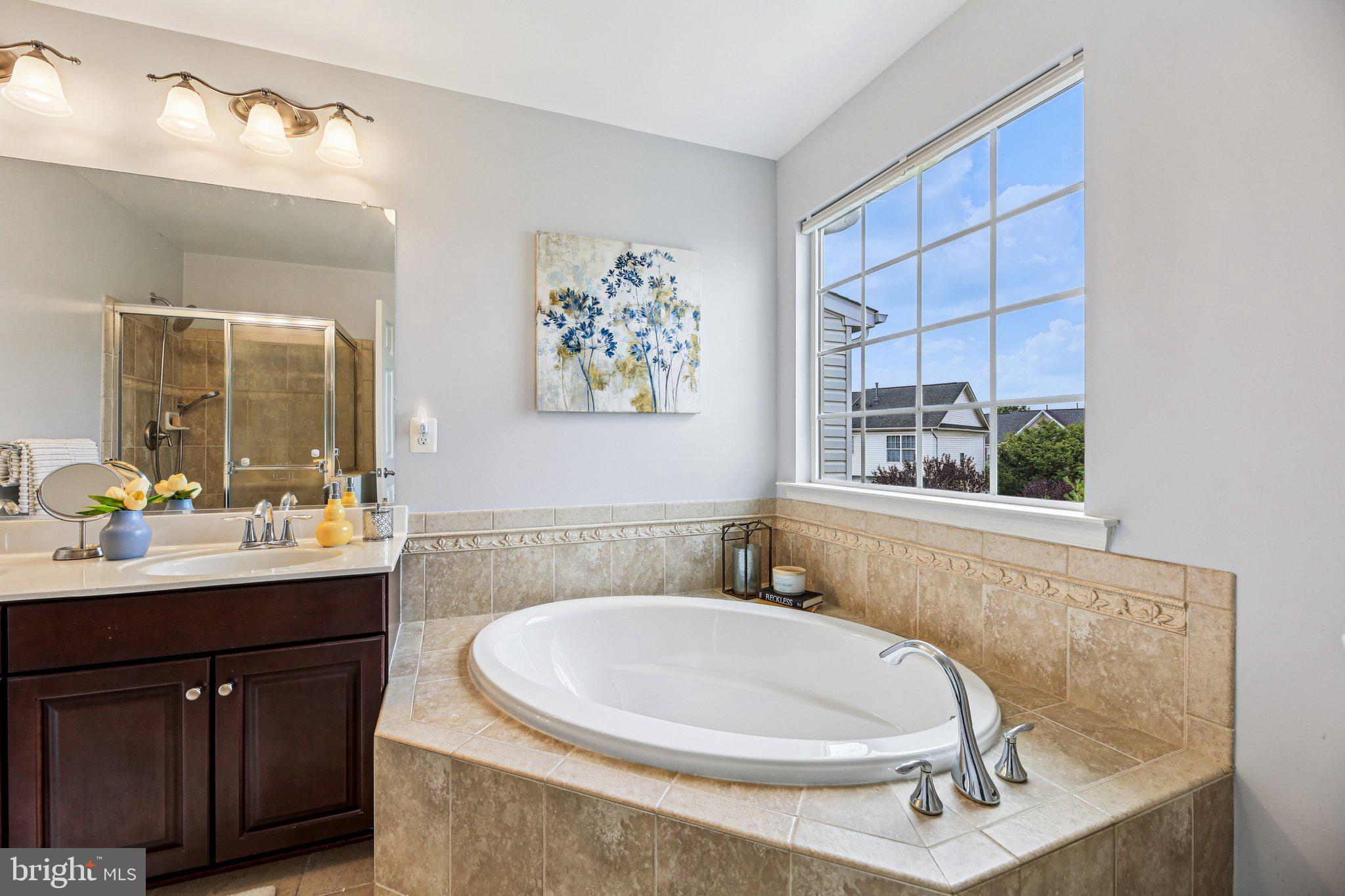 690 Tivoli Road Frederick, MD 21703 - Photo 24 of 43 a bathroom with a sink and a mirror