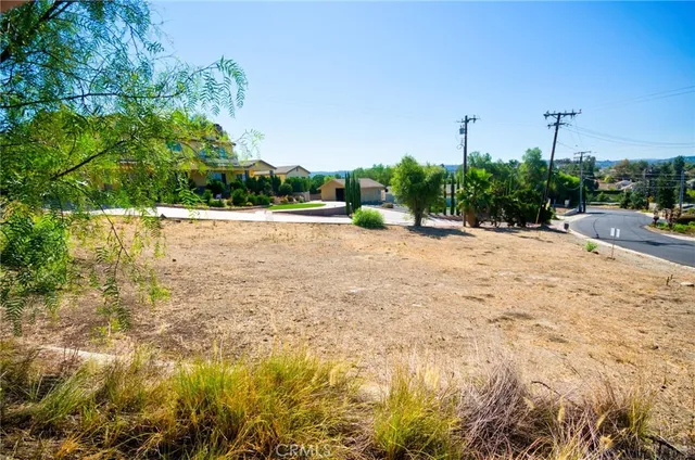a row of palm trees and a yard