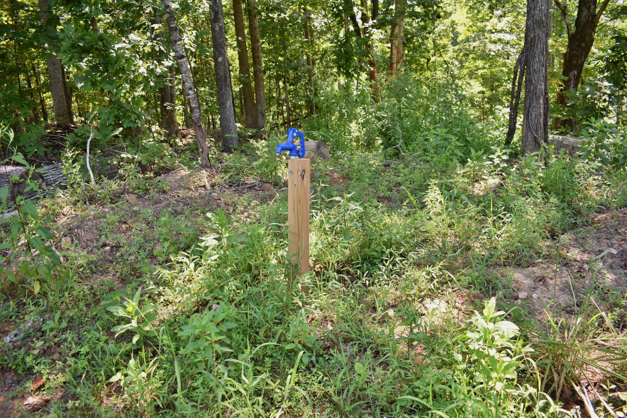 521 Norton Road Philadelphia, TN 37846 - Photo 11 of 42