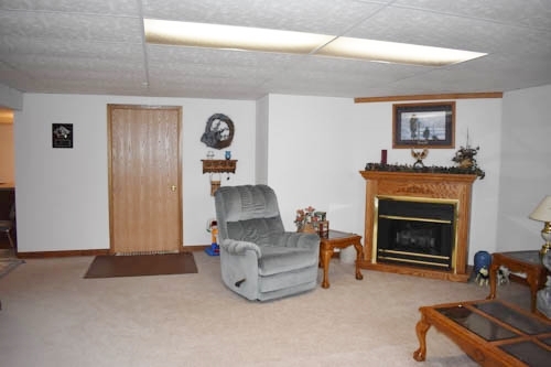 25109 Indian Ridge Road Sterling, IL 61081 - Photo 34 of 34 a living room with furniture and a fireplace