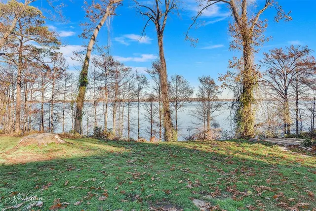 a view of a swimming pool with a bench and trees