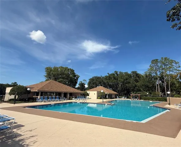 a view of a garden with plants and a bench