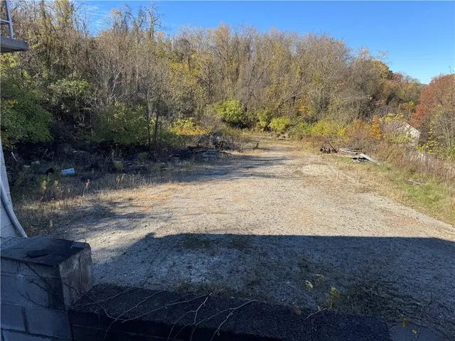 a view of dirt yard with a large tree