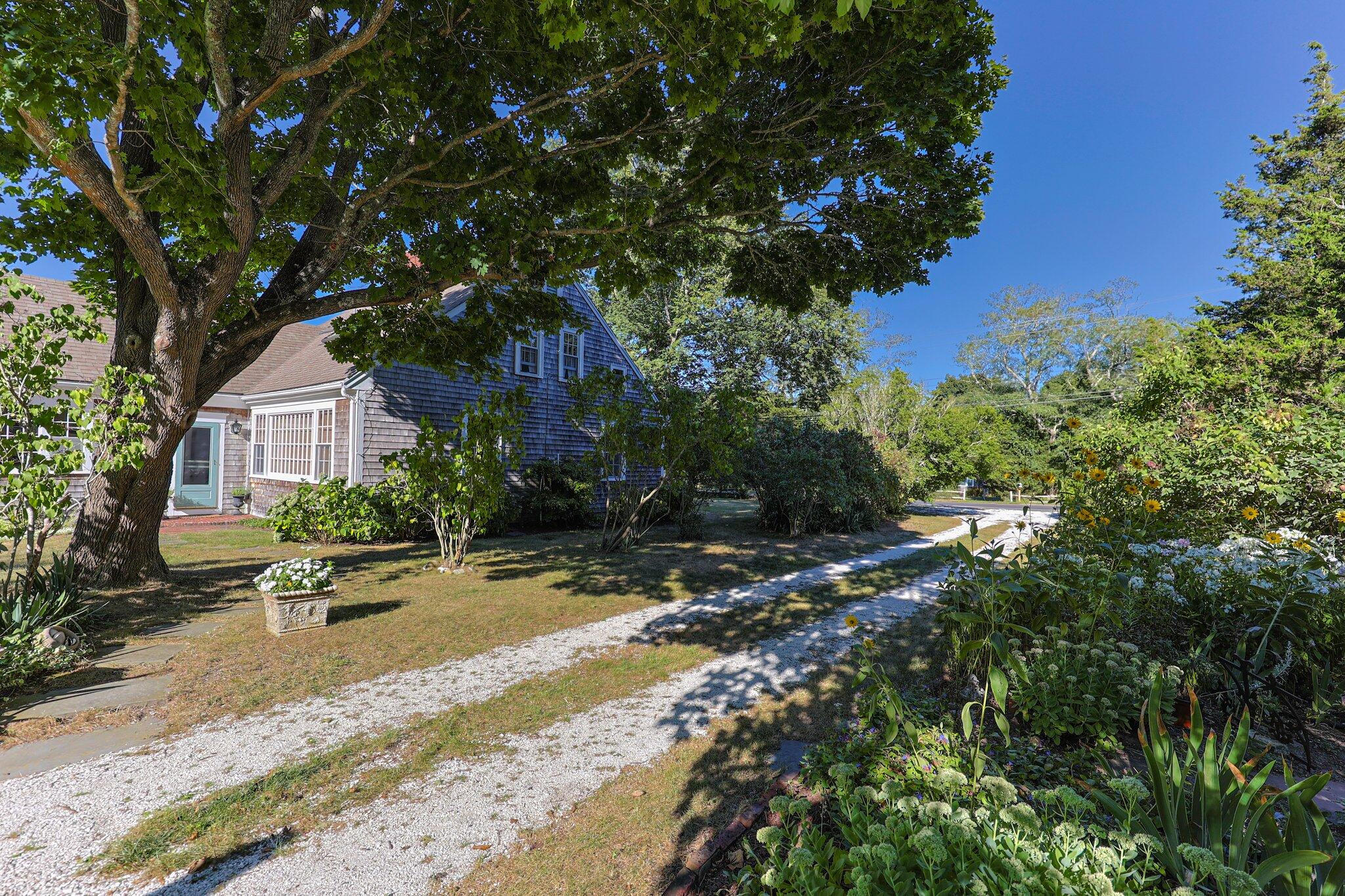 1955 Bridge Road Eastham, MA 02642 - Photo 48 of 77 a row of palm trees in front of a house