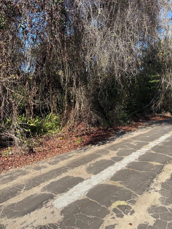 0 Pana Street New Port Richey, FL 34654 - Photo 3 of 3 a view of a yard with plants and trees