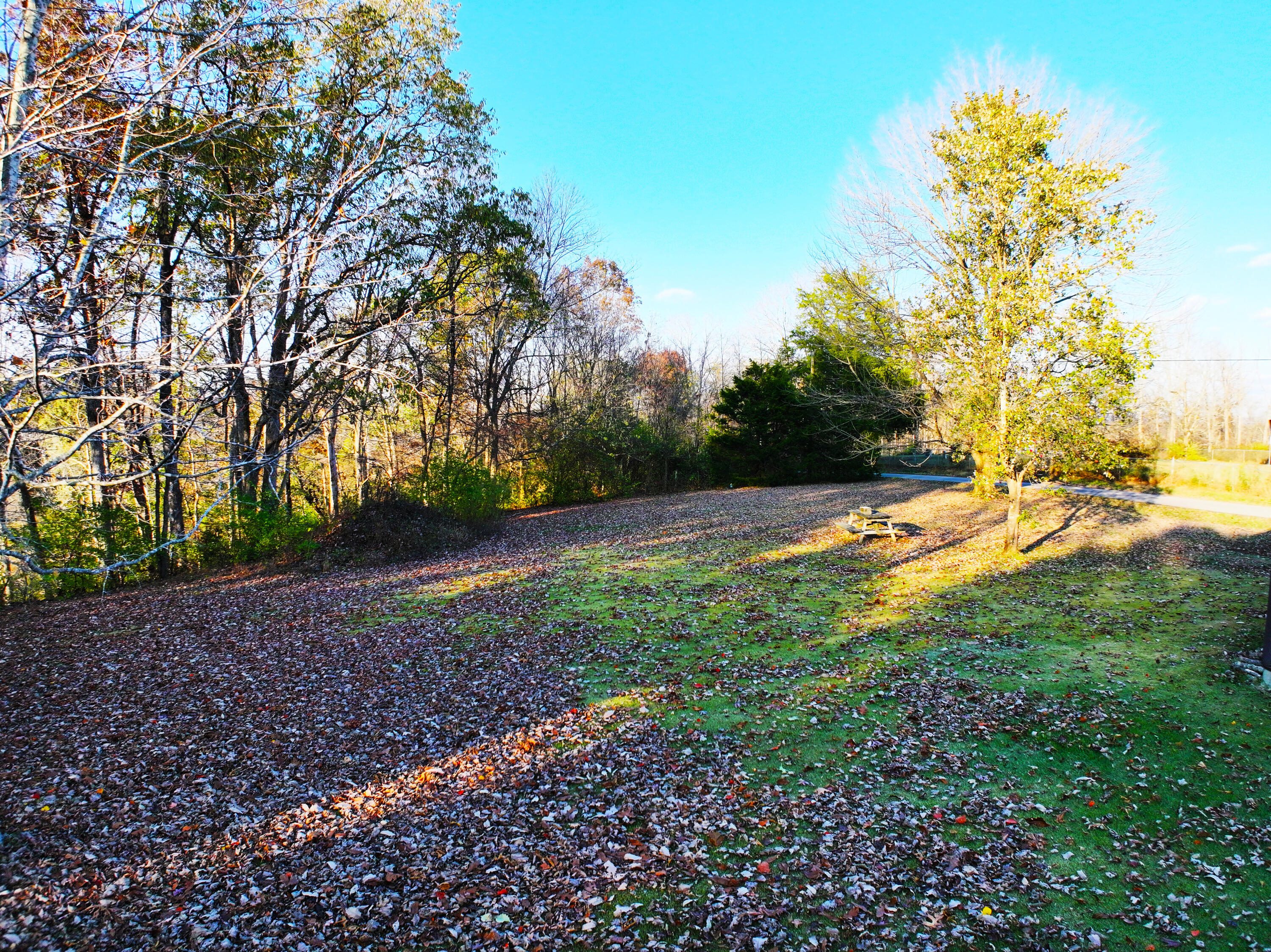 685 Puckett Road Irvine, KY 40336 - Photo 7 of 35 Large level yard!
