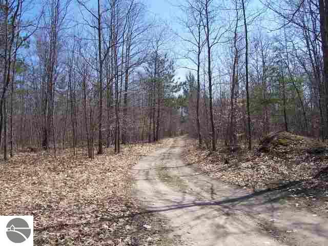 Off Wartella Road Cheboygan, MI 49721 - Photo 3 of 7 1691825-2.JPG