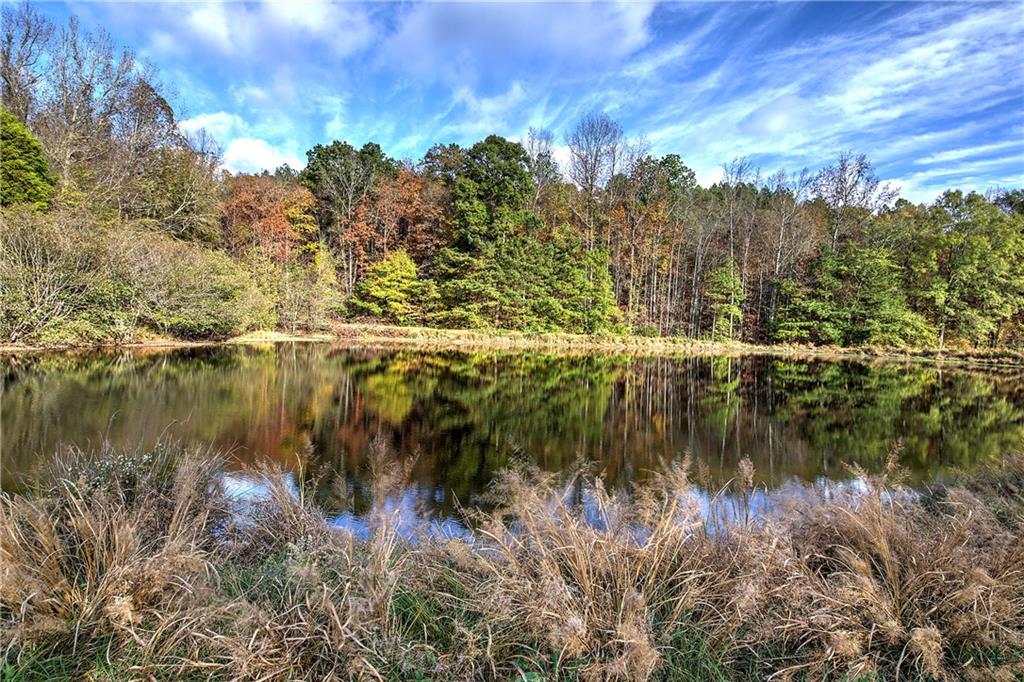 1195 Grady Road Rockmart, GA 30153 - Photo 31 of 76