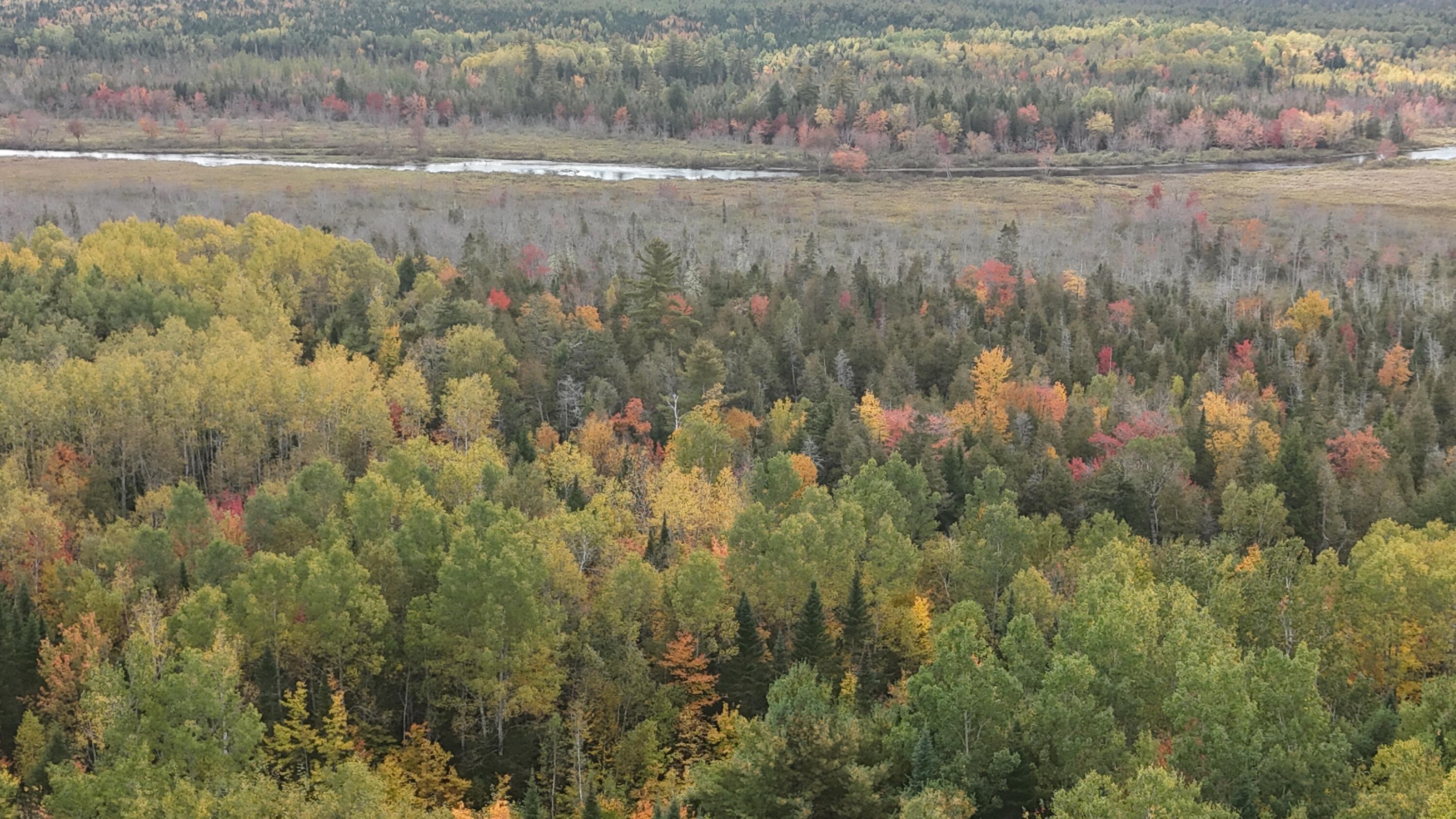 52 Stream Road Howland, ME 04448 - Photo 1 of 41 DJI_20231006133320_0026_D