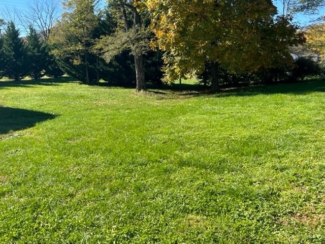 518 Dry Branch Road Churchville, VA 24421 - Photo 6 of 22 Gallery Image 6