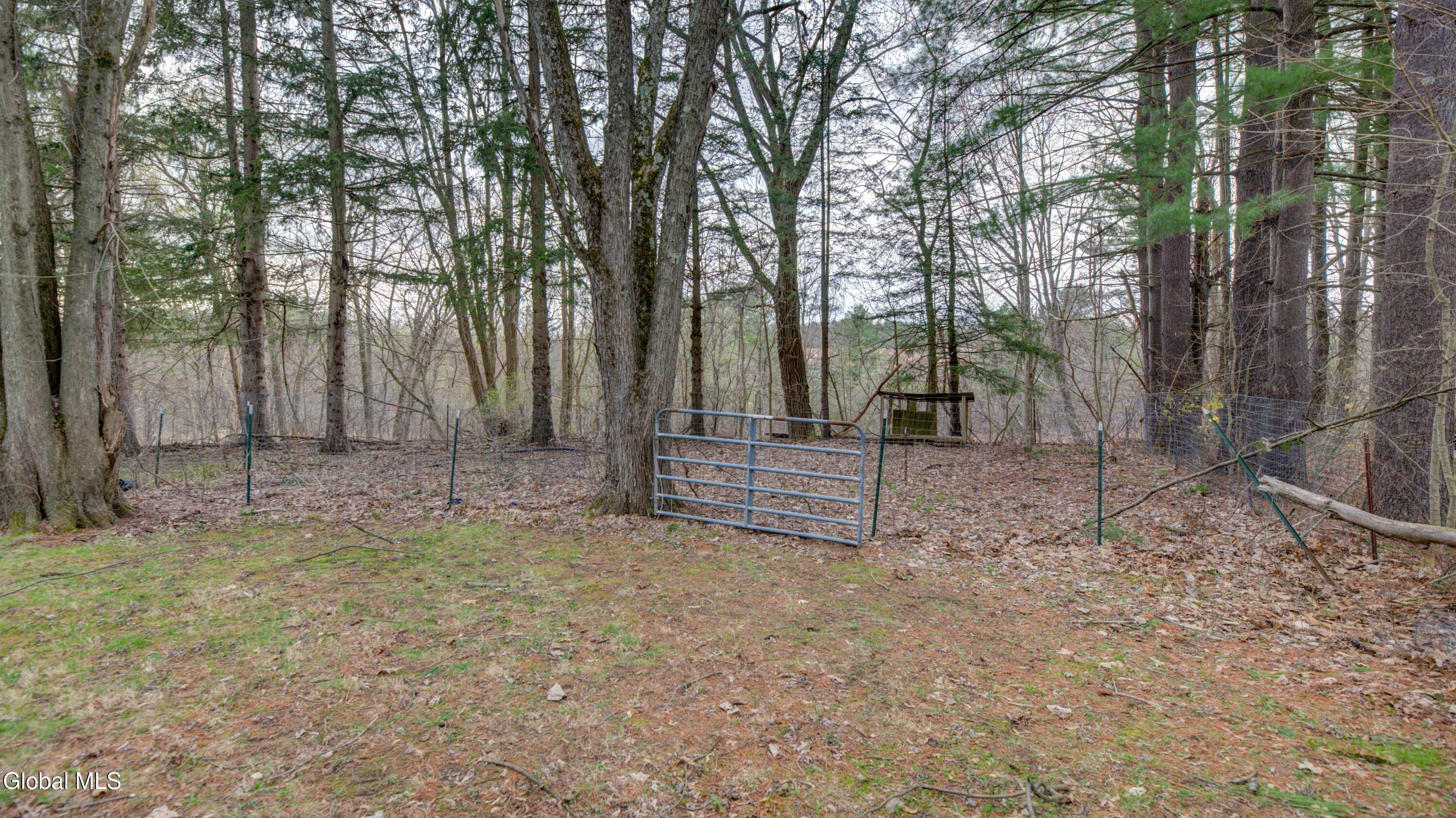 38 Hamilton Street Guilderland, NY 12084 - Photo 33 of 34 38 Hamilton St-11
