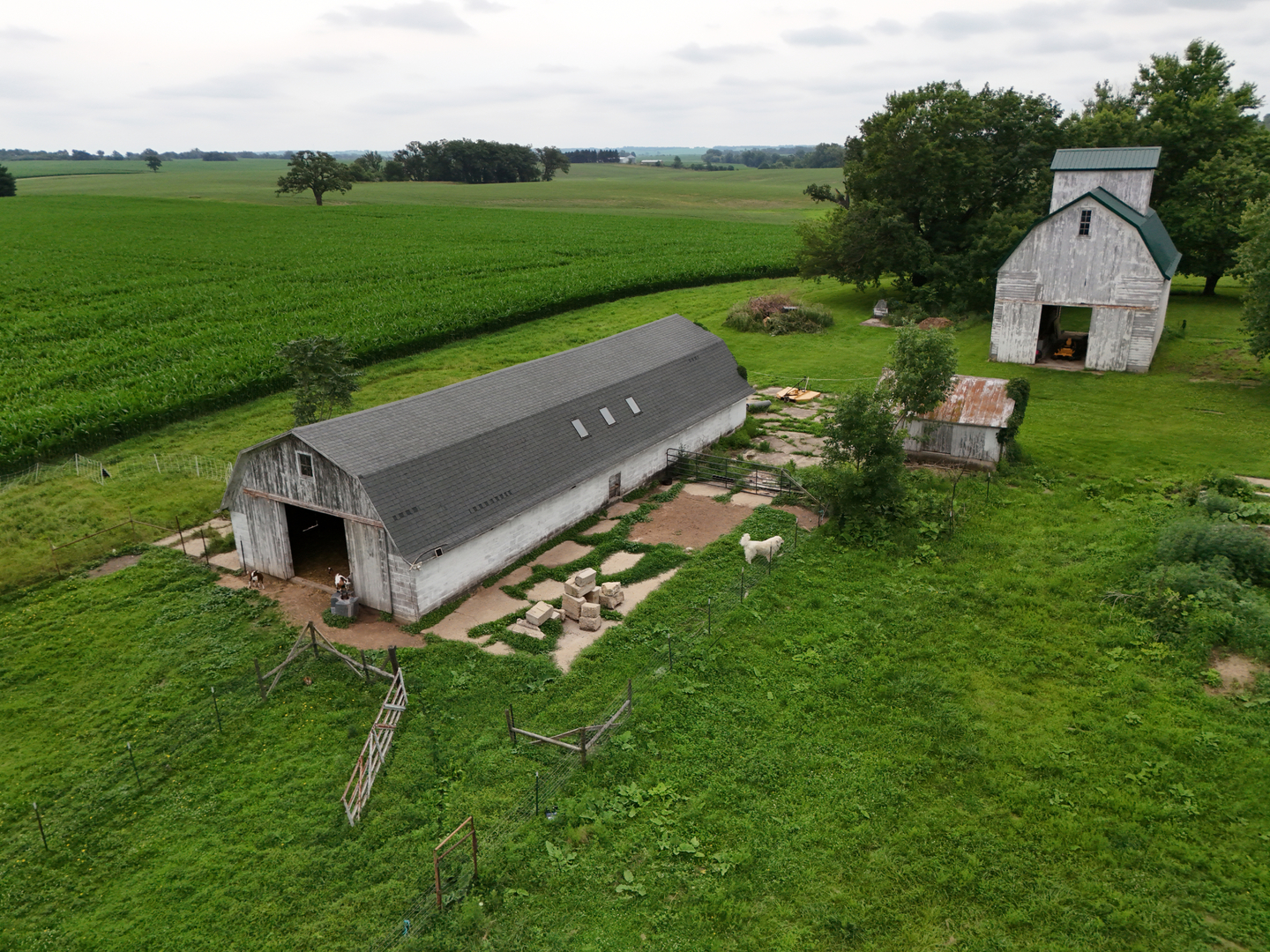 4149 School Road Chadwick, IL 61014 - Photo 47 of 50