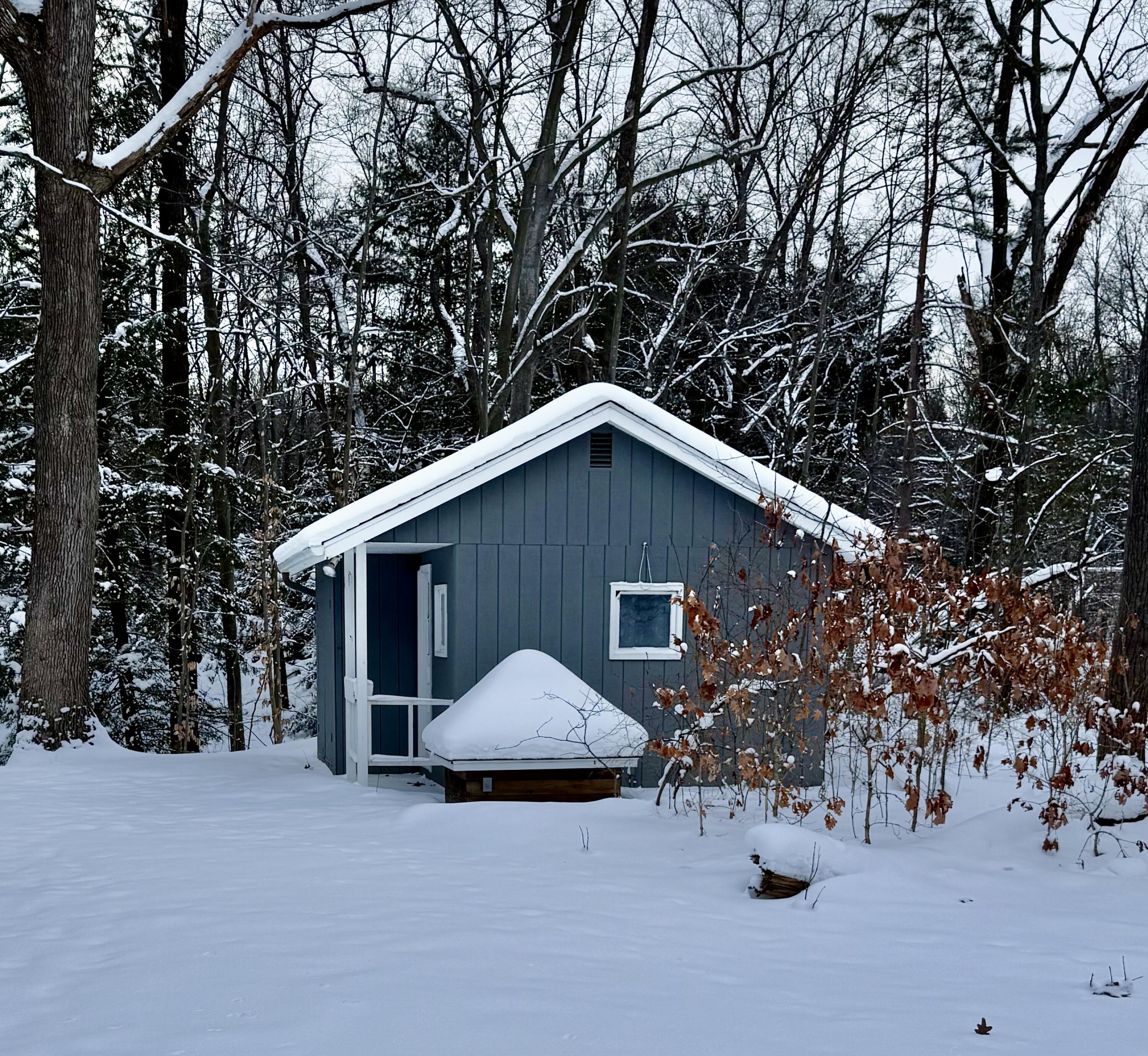 6595 Zellar Road Whitehall, MI 49461 - Photo 39 of 41 IMG_2042