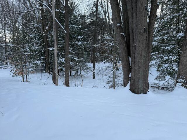 6595 Zellar Road Whitehall, MI 49461 - Photo 41 of 41 IMG_2044