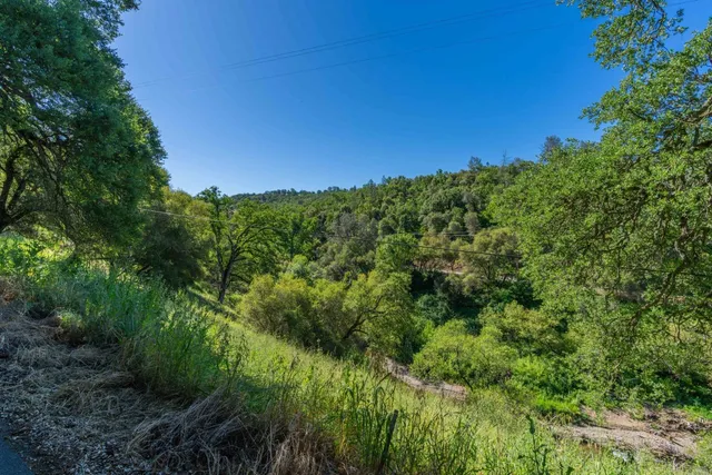 a view of a wooden wall with plants and large trees