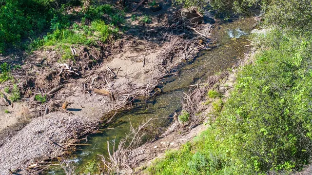 a view of a houses with a lush green forest