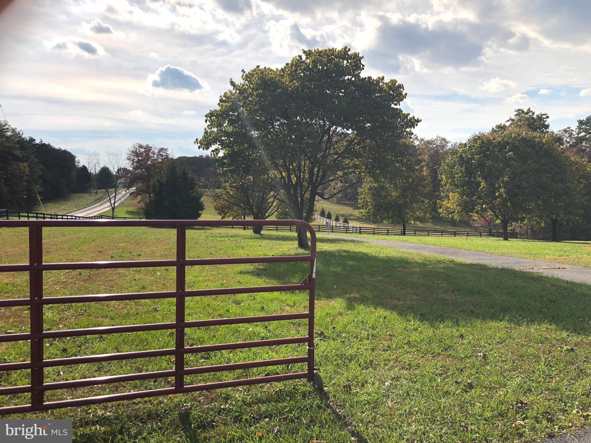 1299 Reynolds Road Cross Junction, VA 22625 - Photo 23 of 23 view of the 2.0 acre lot from the driveway