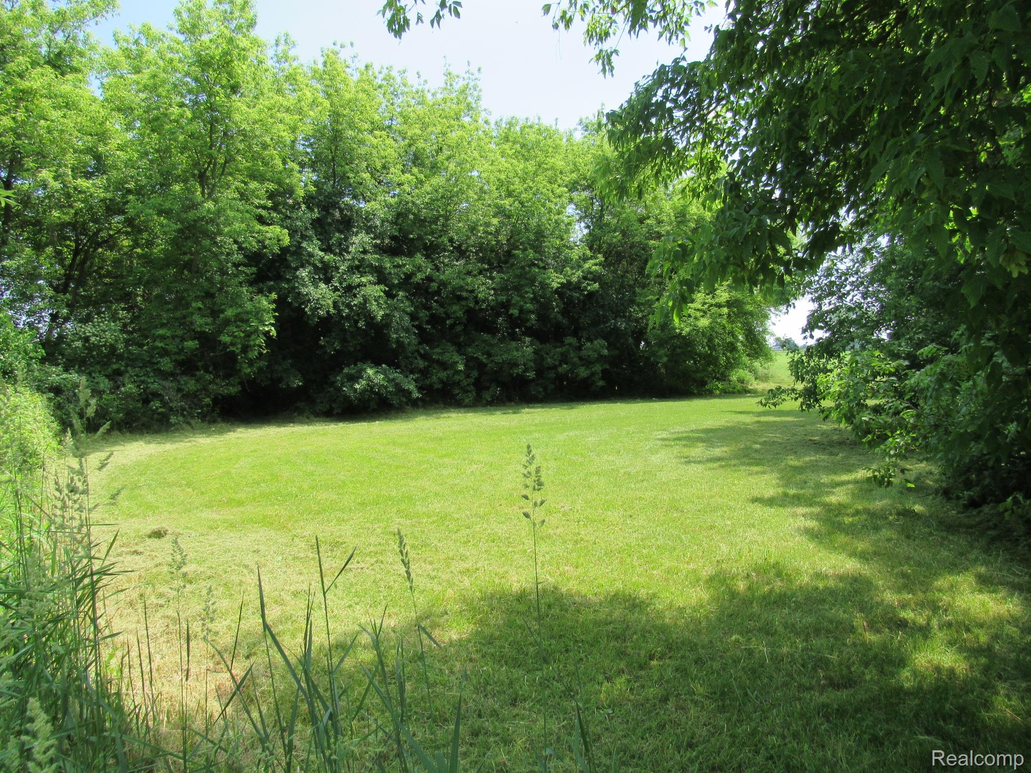 695 Cass Avenue Road Bay City, MI 48708 - Photo 42 of 52 Expansive grassy area bordered by mature trees and natural foliage