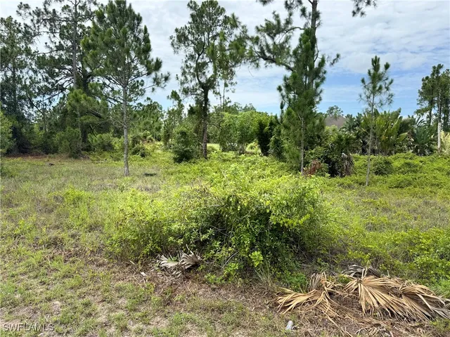 a view of a lush green space