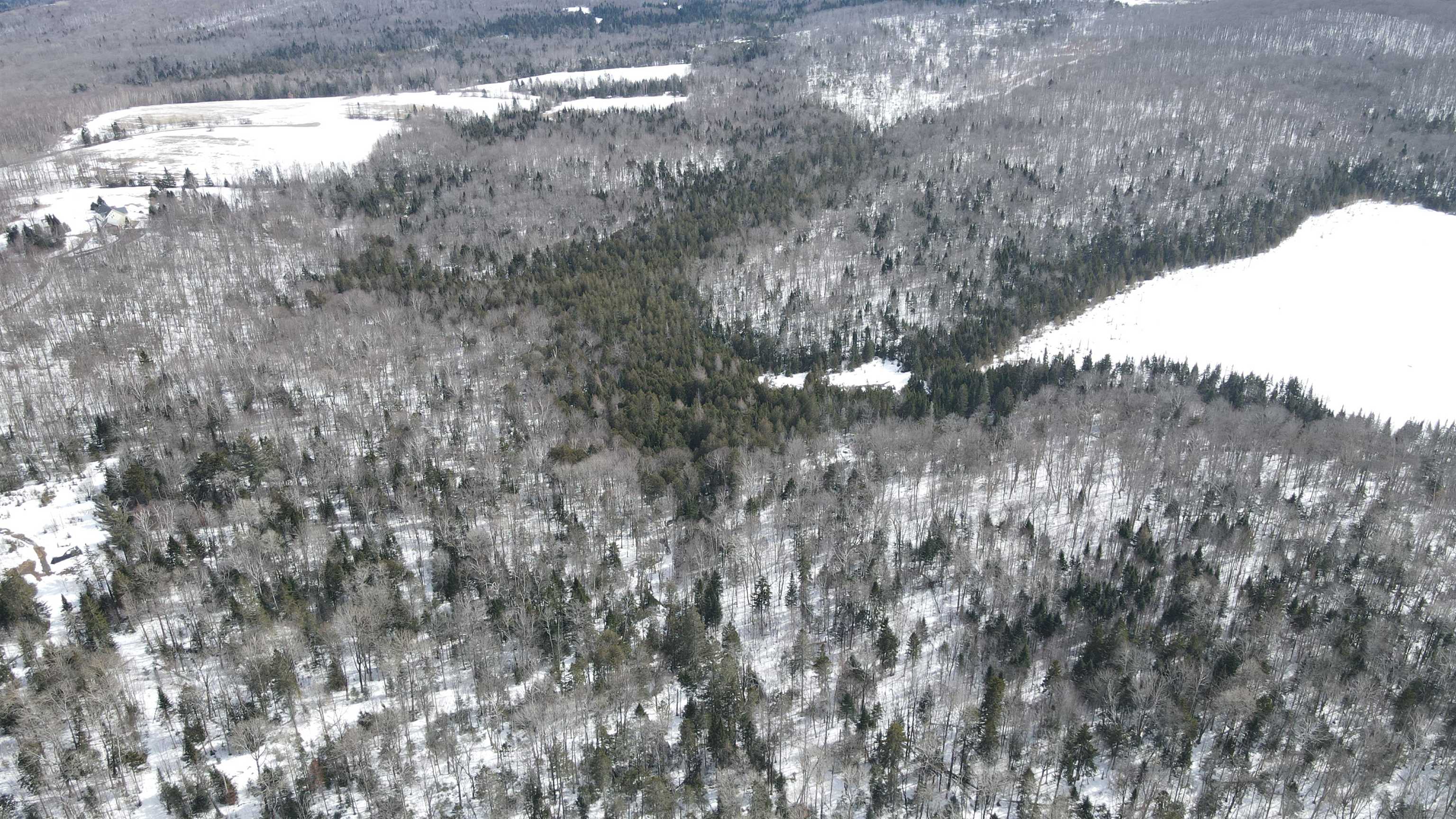 1606 Town Farm Road Sheffield, VT 05851 - Photo 29 of 55