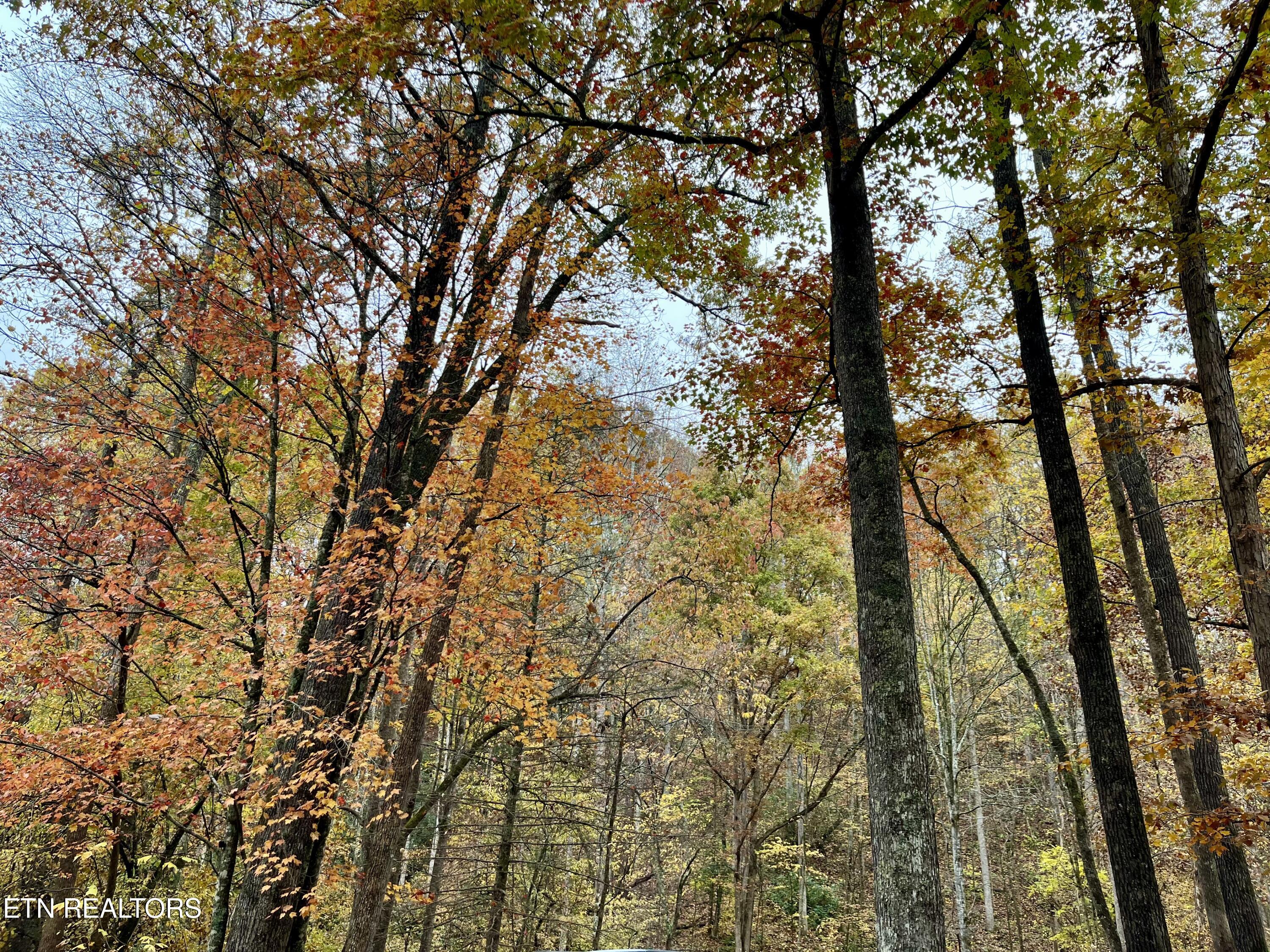 4131 Suttons Road Sevierville, TN 37876 - Photo 27 of 36 Suttons acreage