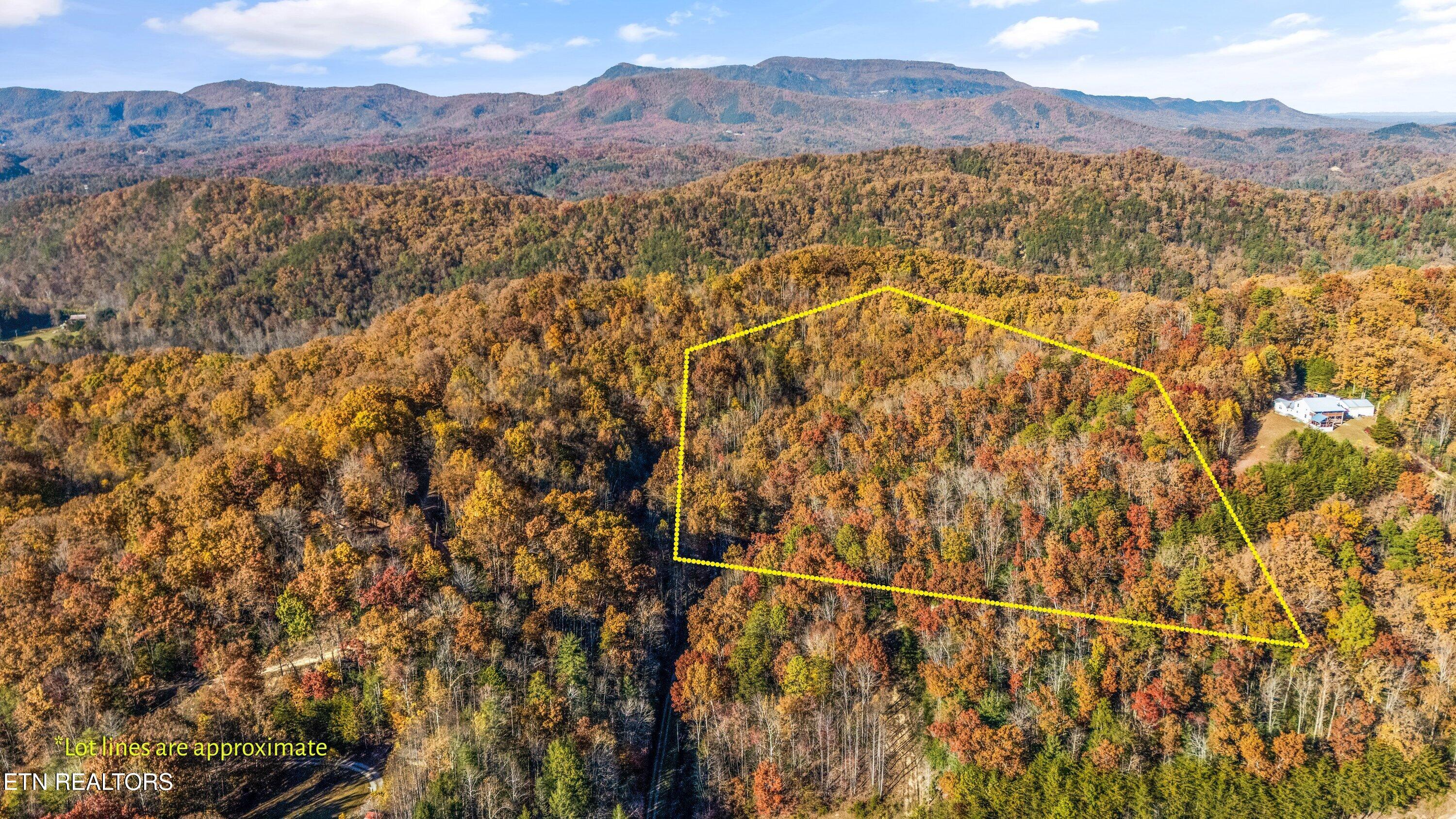 4131 Suttons Road Sevierville, TN 37876 - Photo 28 of 36 Ariel Photo Property Lines Are Not Exact