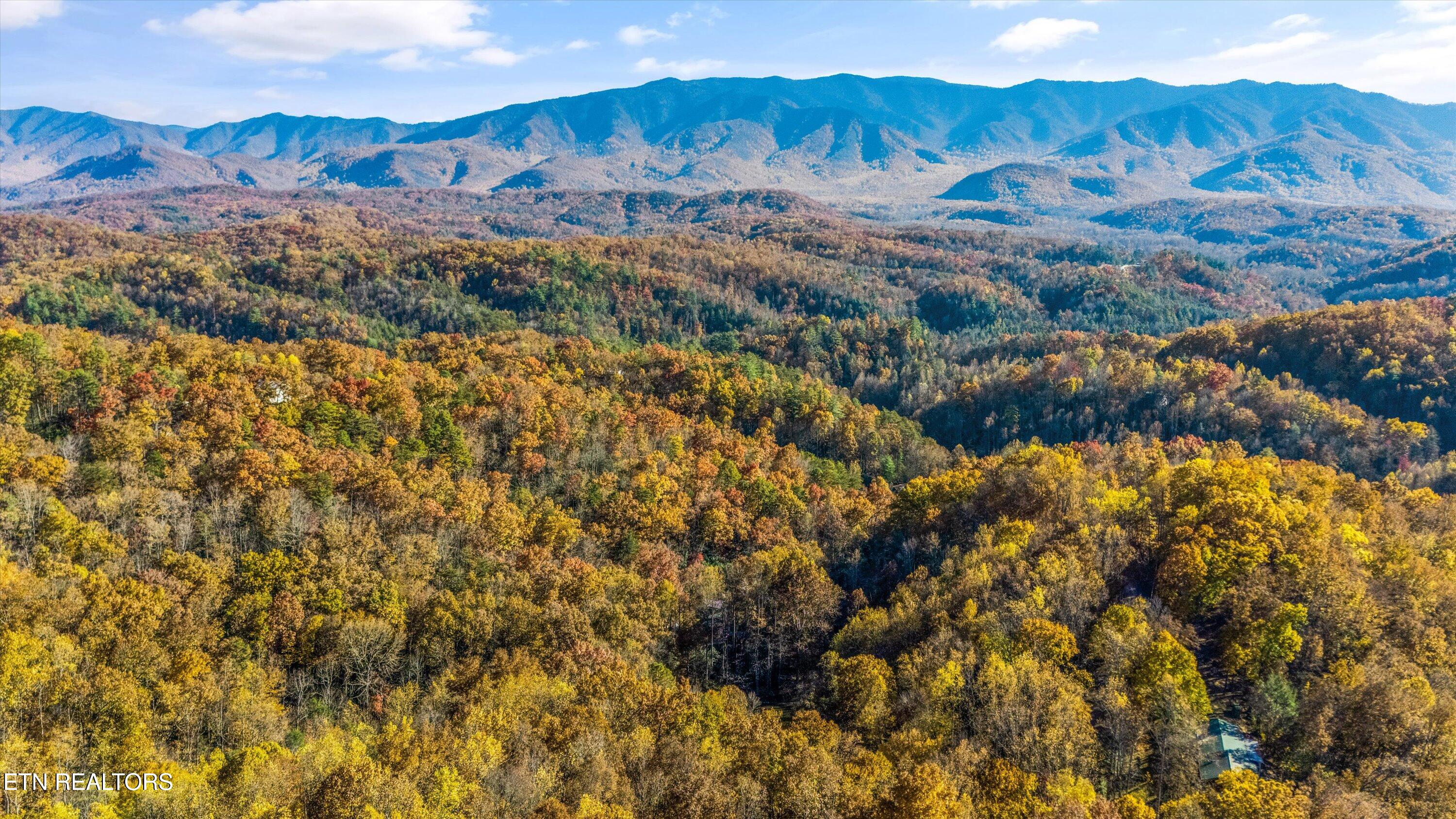 4131 Suttons Road Sevierville, TN 37876 - Photo 29 of 36 Arial Photo Suttons Rd