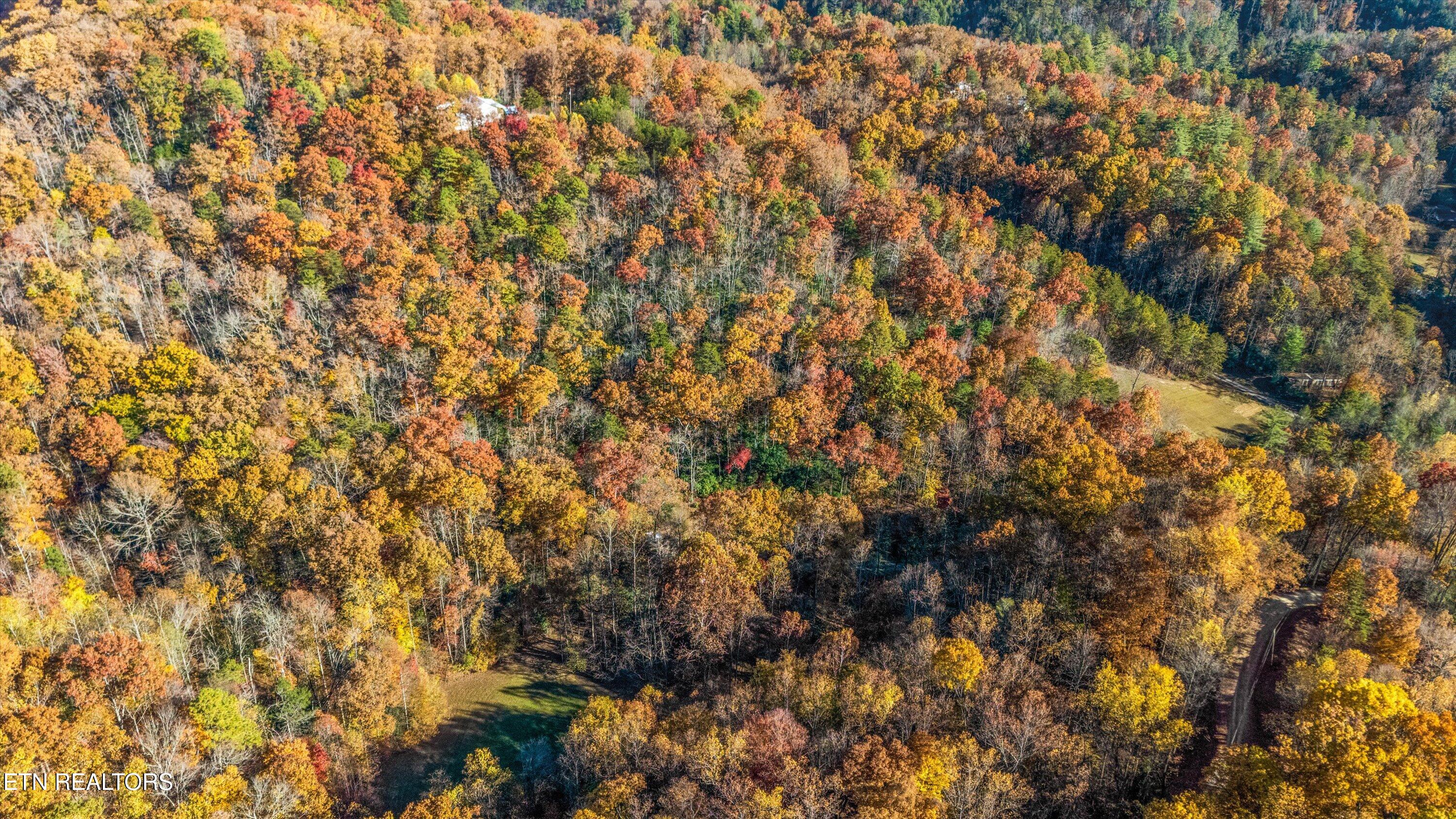 4131 Suttons Road Sevierville, TN 37876 - Photo 30 of 36 Arial Photo Suttons Rd