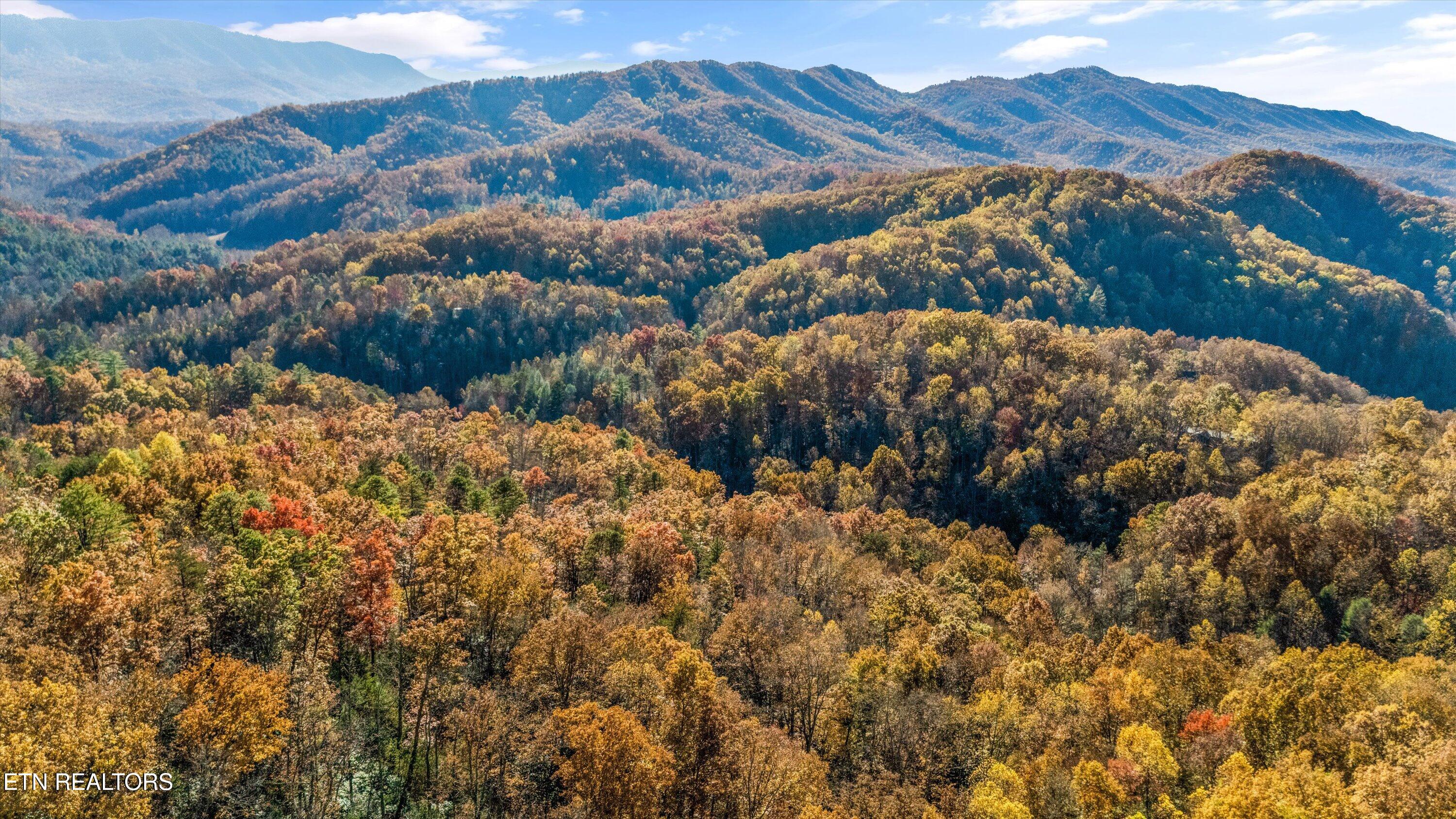 4131 Suttons Road Sevierville, TN 37876 - Photo 31 of 36 Arial Photo Suttons Rd