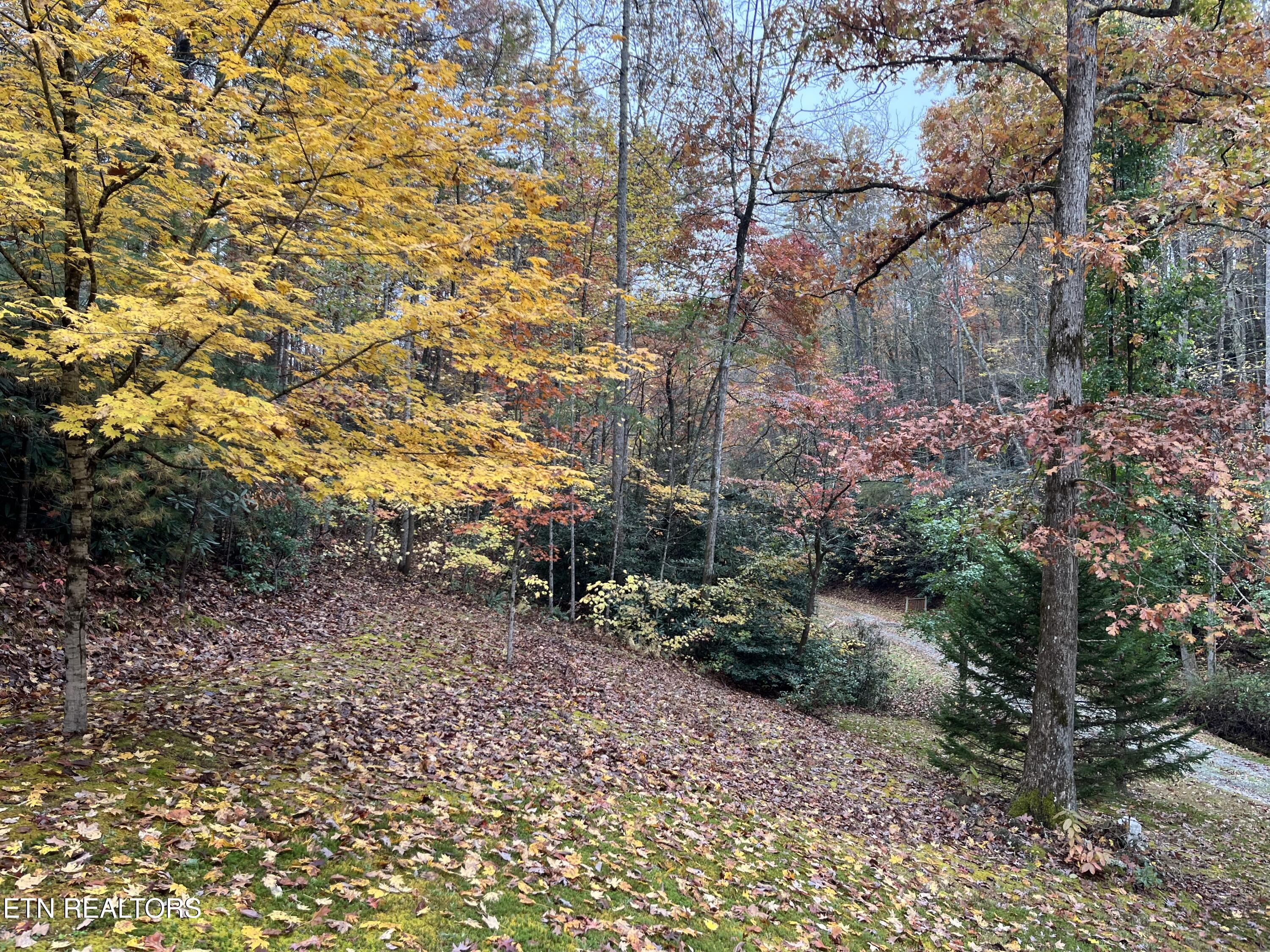 4131 Suttons Road Sevierville, TN 37876 - Photo 34 of 36 Suttons gravel driveway