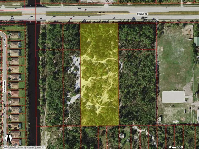 a view of a yard with plants