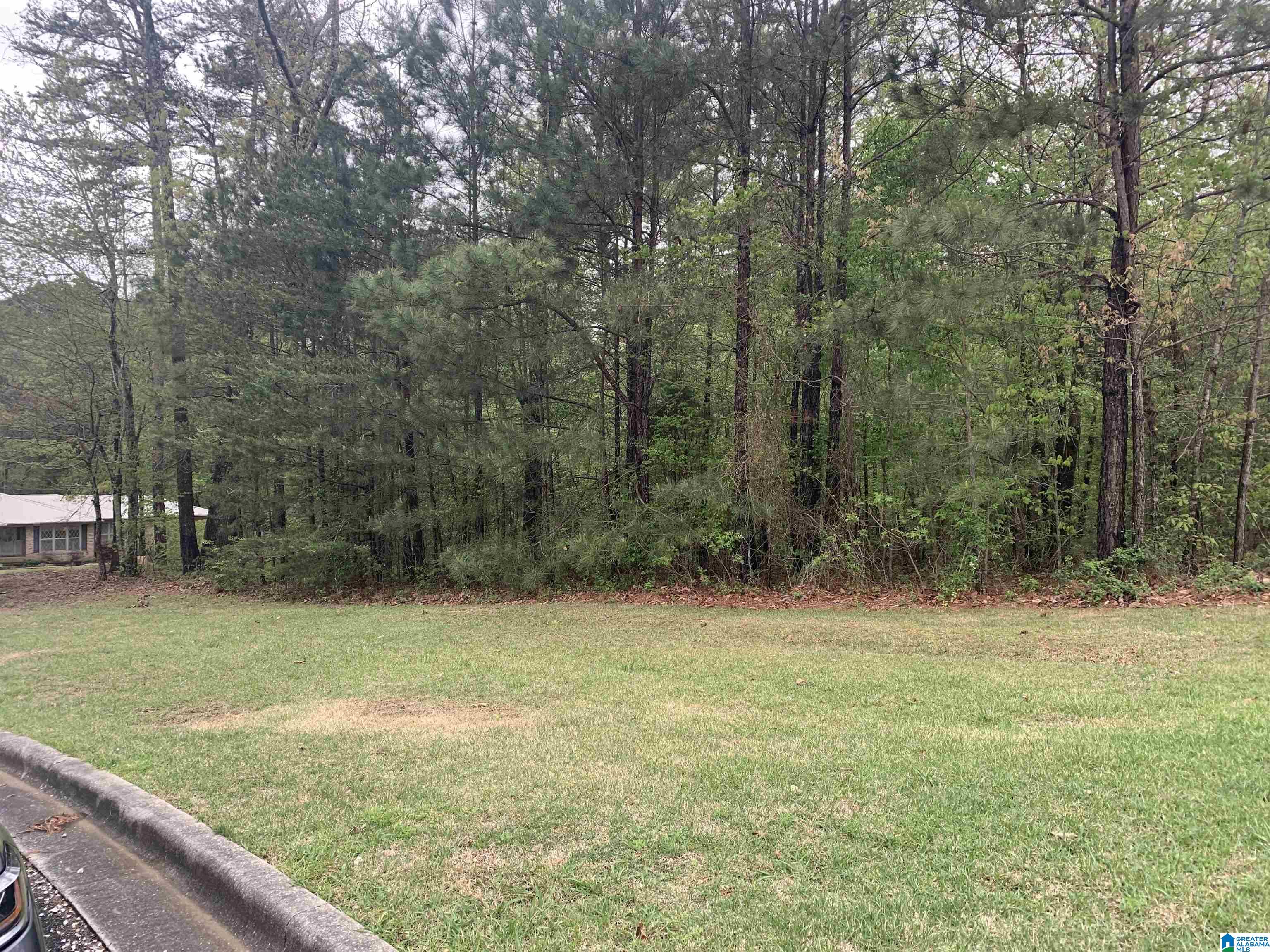 0 James Taylor Road, Unit 2 Moody, AL 35004 - Photo 2 of 2
