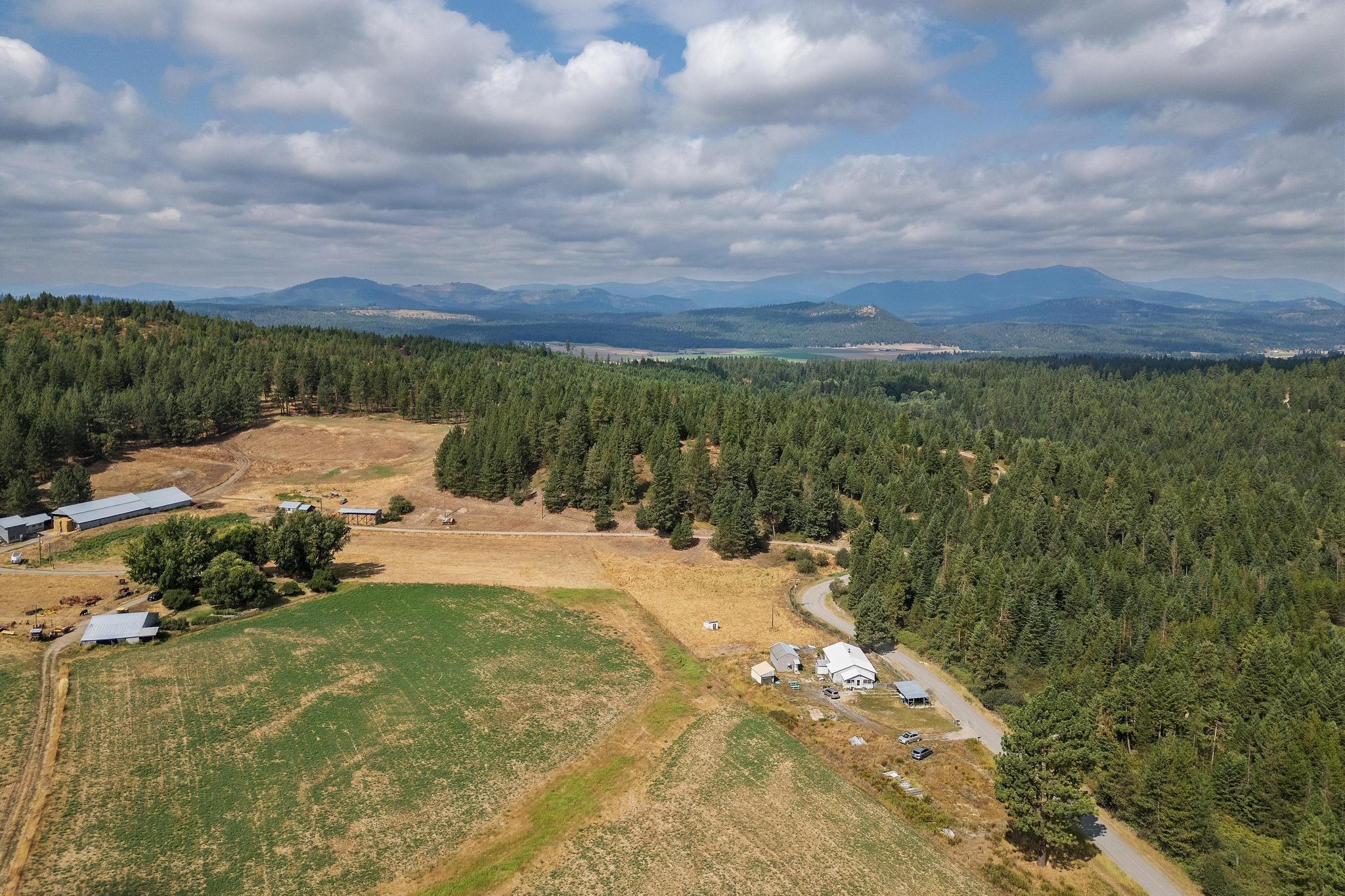 4402 Skands Road Valley, WA 99181 - Photo 4 of 21
