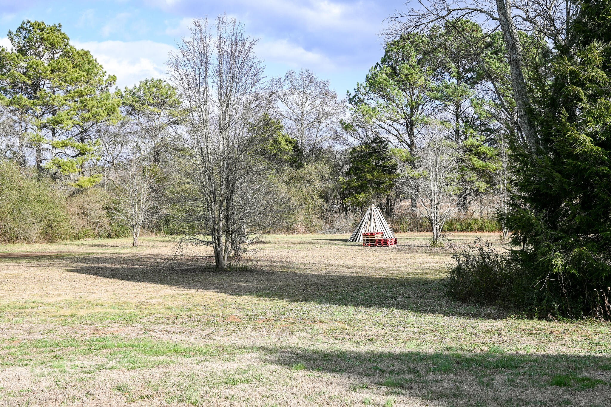 276 Mason Road McDonald, TN 37353 - Photo 66 of 67 a view of a yard with a tree